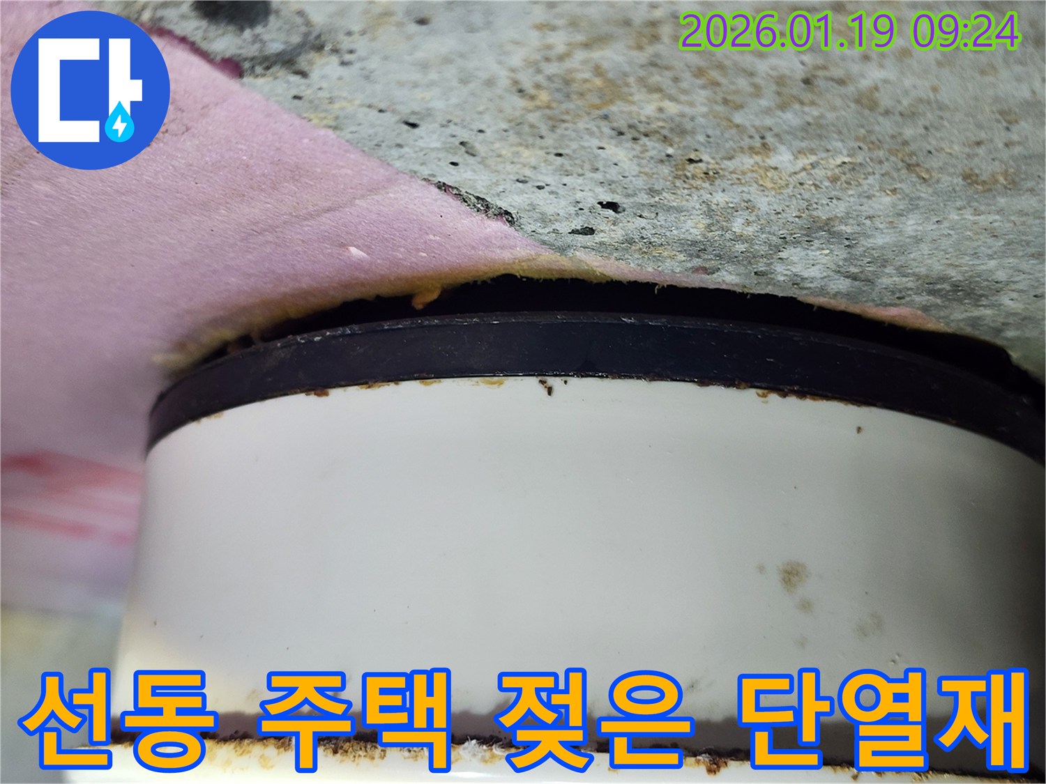 선동 주택 천장-배관 주변 젖은 단열재와-곰팡이 발생 우려 지점 확인