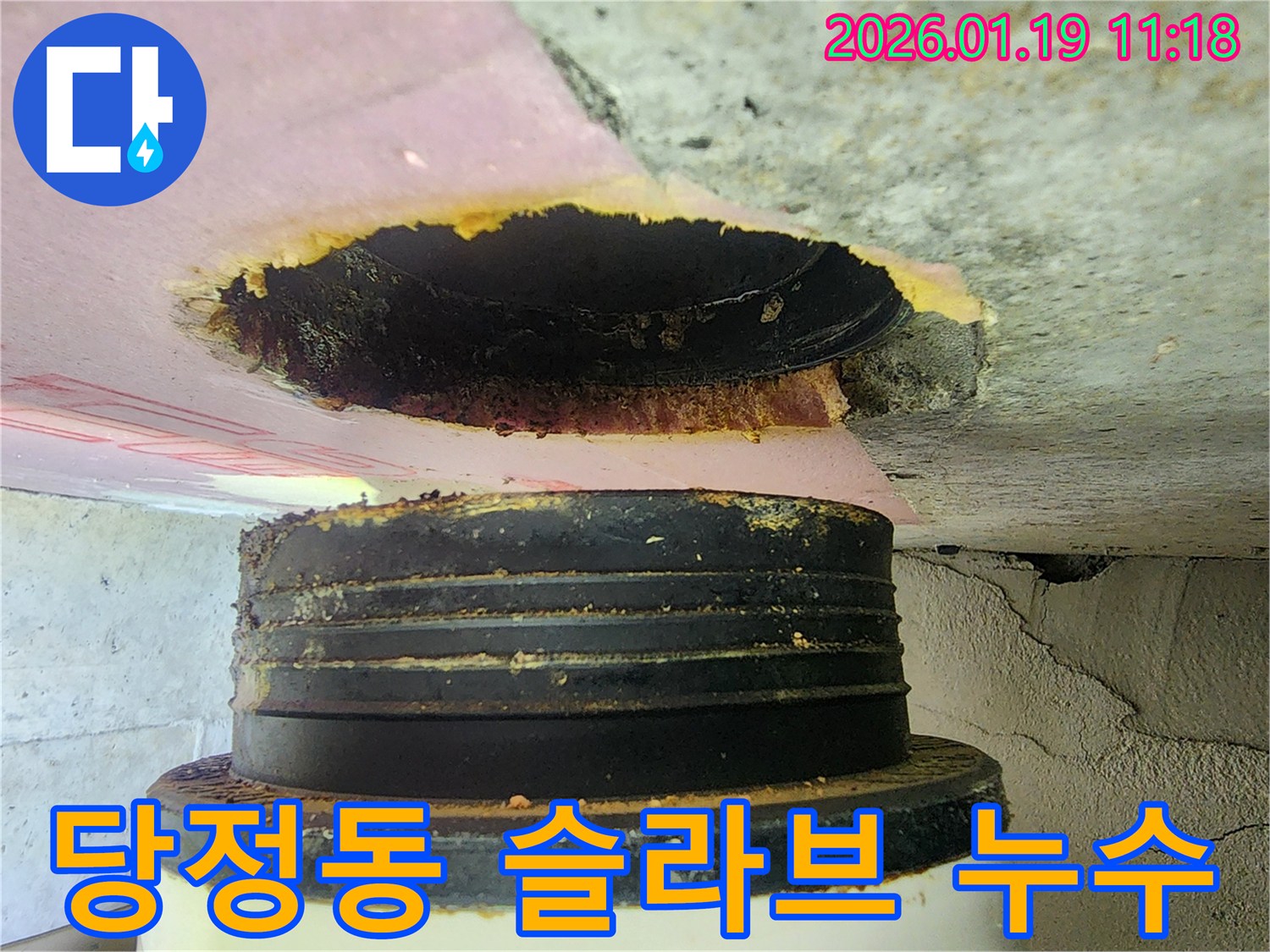 하남 당정동 빌라-슬라브를 관통하는 배관 주변에서 발생한 누수-정확한 진단과 전문적인 보수로 해결했습니다.