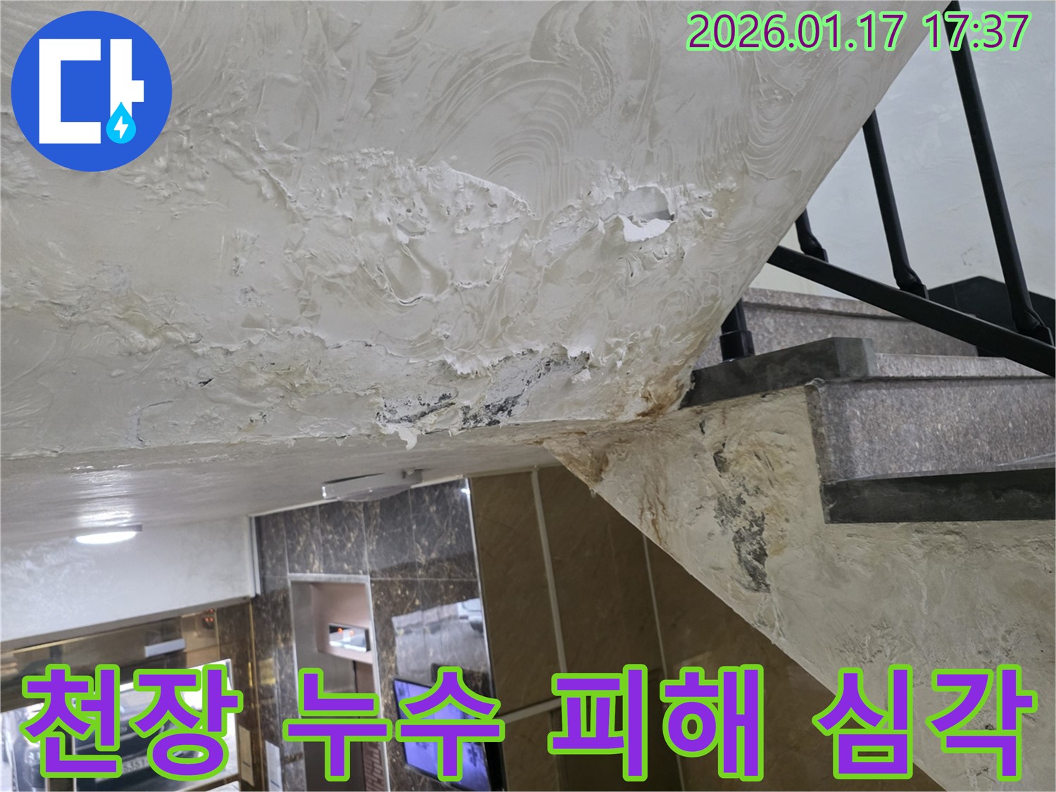 심각한 천장 누수 피해 - 젖어있는 천장과 손상된 마감재는 누수의 심각성을 보여줍니다.