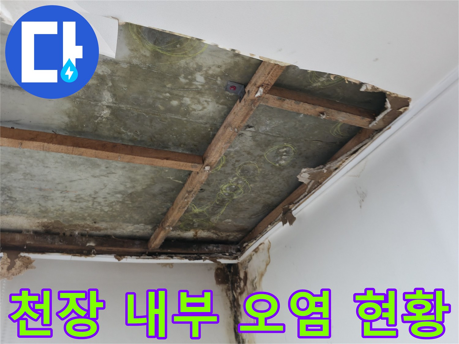 곰팡이와 습기로 오염된 천장 구조재
