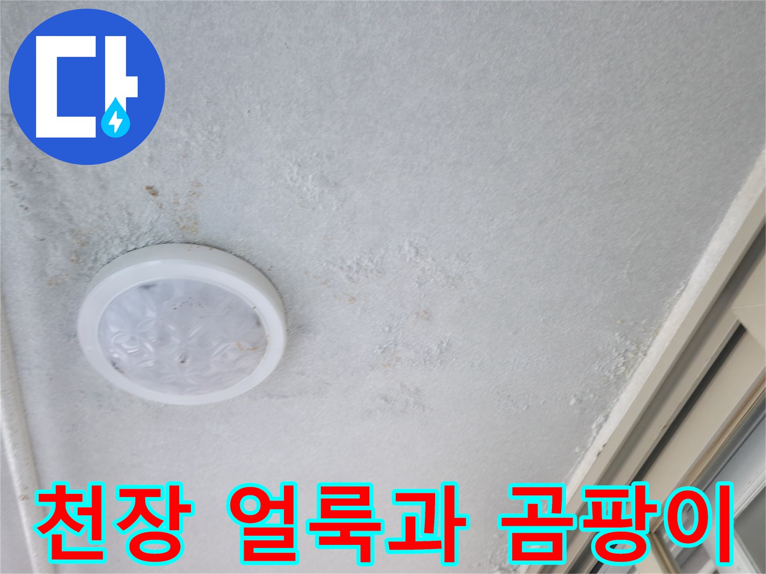 마포구 아파트 거실 천장 조명 주변의 누수 흔적 및 곰팡이 상태