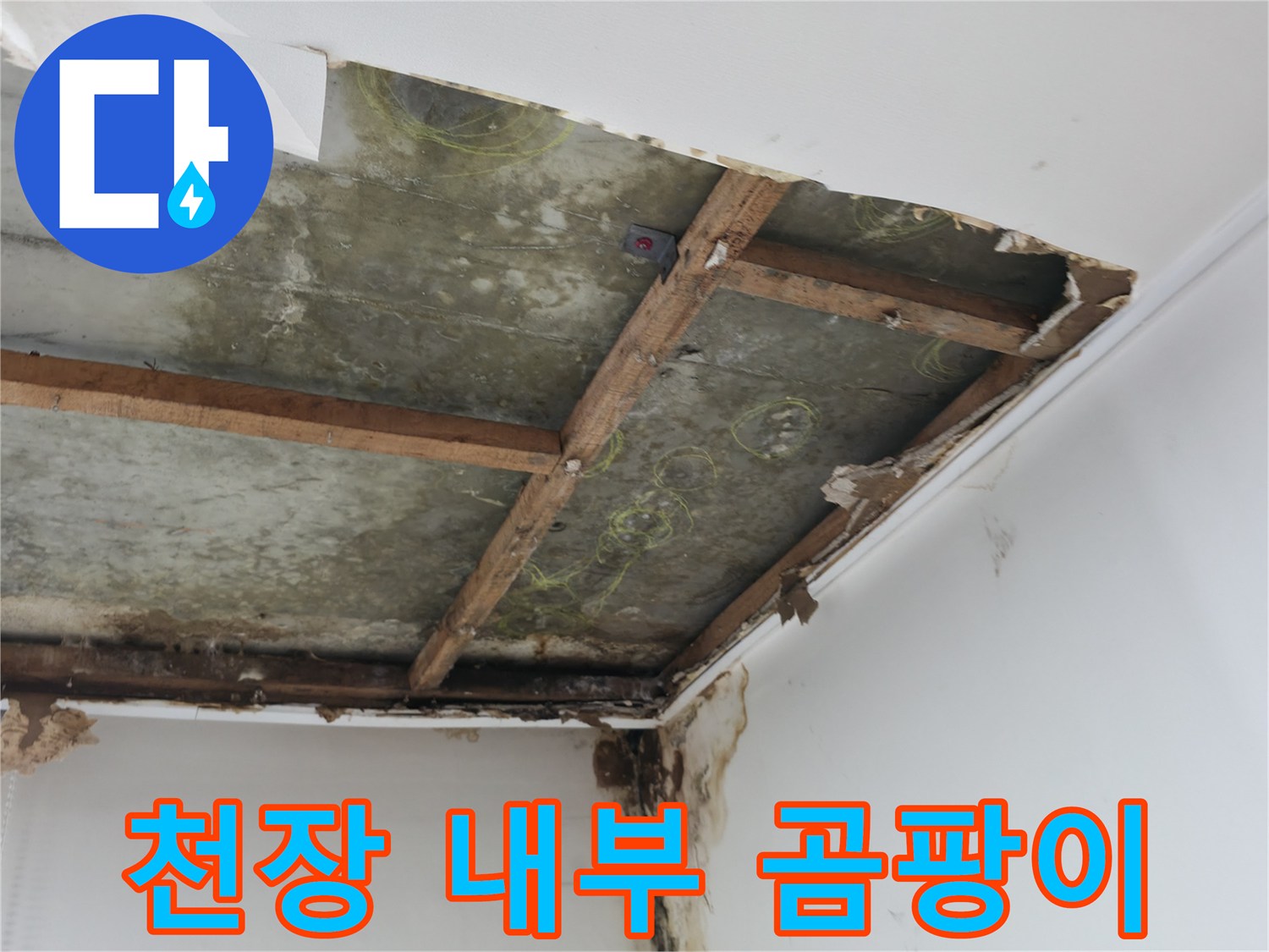 습기와 곰팡이가 발견된 천장 내부 모습