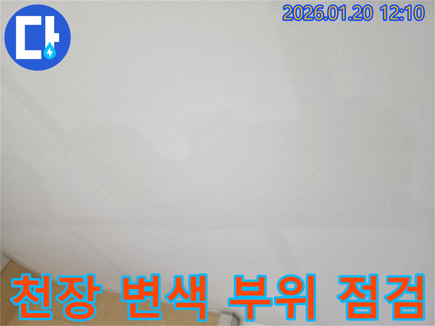 상록구 샘골로4길 천장의 - 변색 부위를 집중적으로 점검하는 모습입니다.
