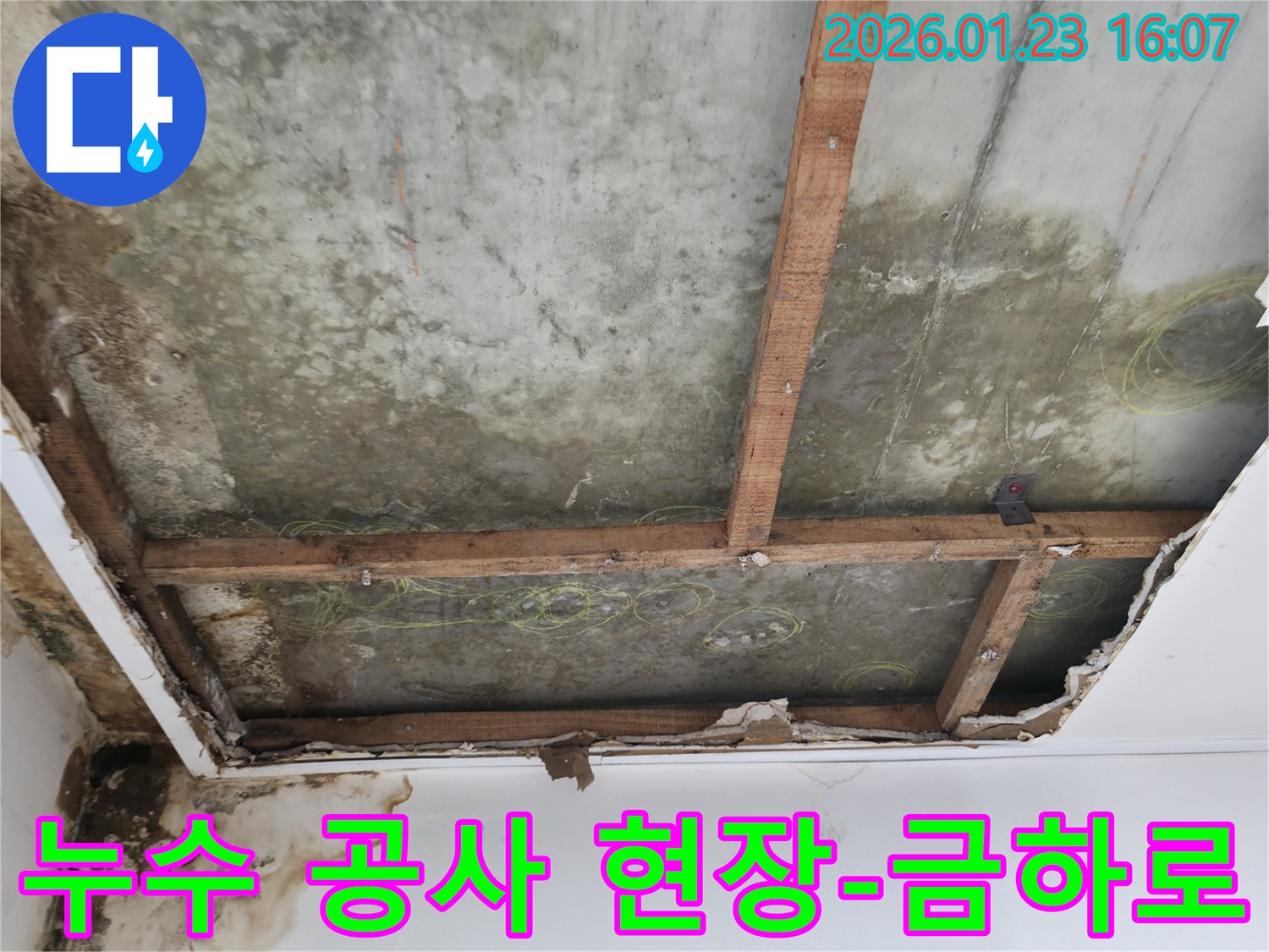 누수 공사 중인-천장 콘크리트 슬라브와 목재 지지대가 보이는-심각한 누수 현장