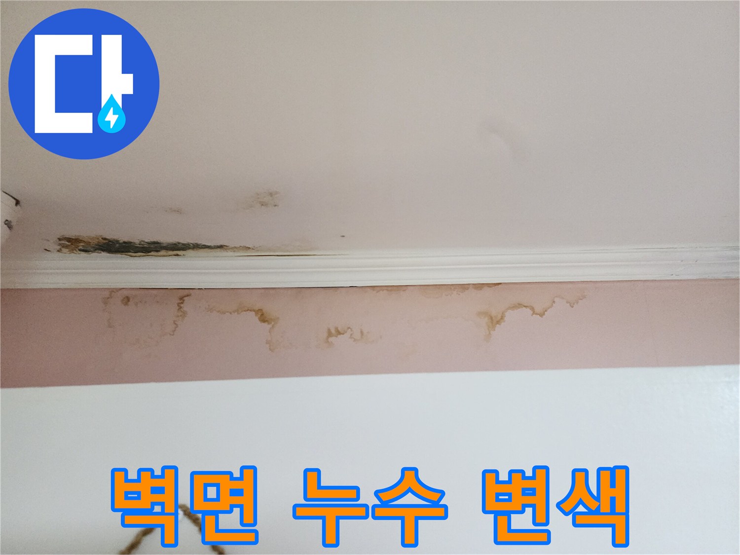 천장-몰딩-주변의-누런-물자국과-곰팡이-오염