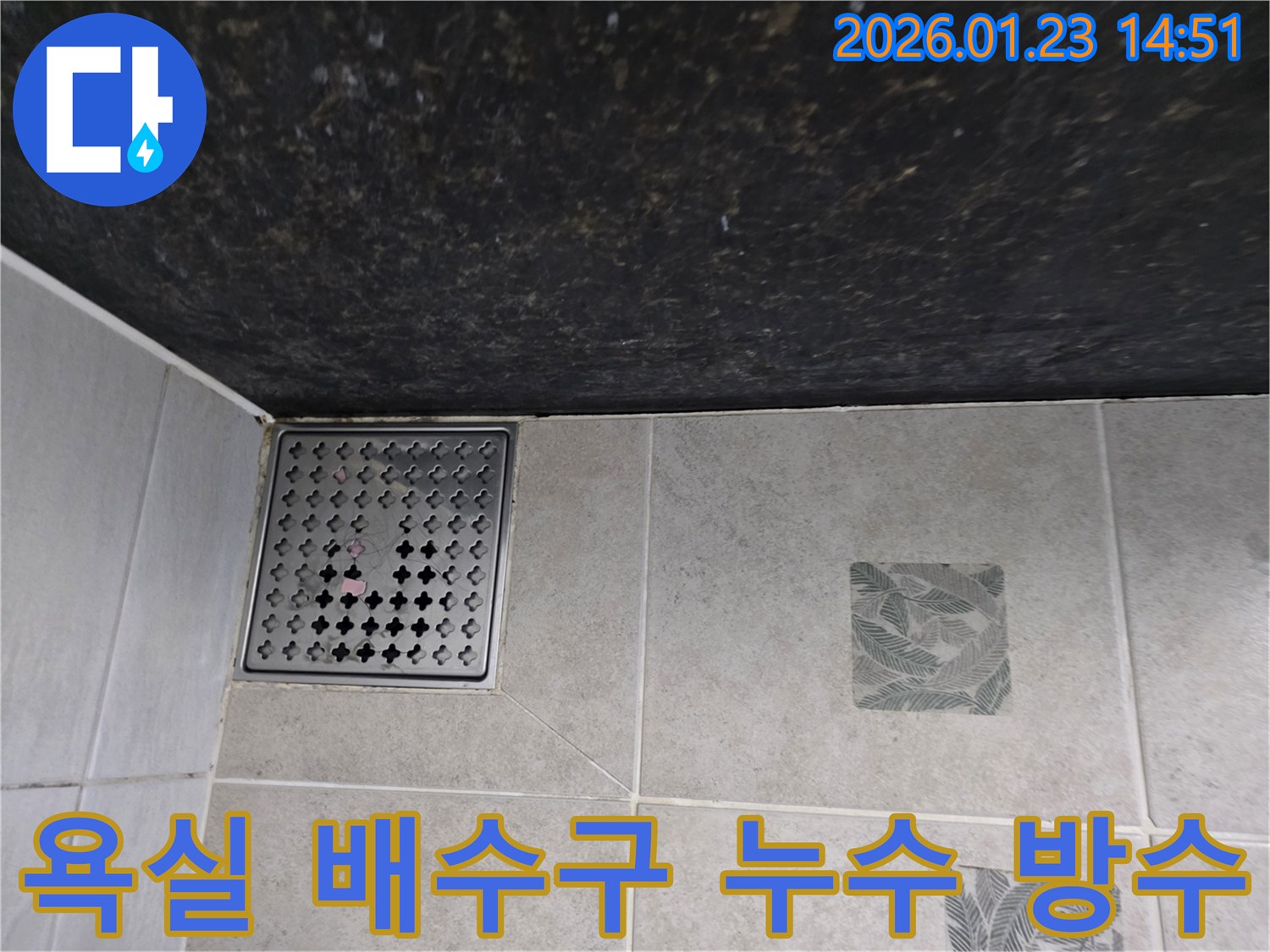 파주시 가람동 욕실 바닥 배수구 주변의 누수 현장 사진 - 배수구 방수층 손상으로 인한 누수를 완벽하게 시공하여 해결하는 과정을 담고 있습니다.