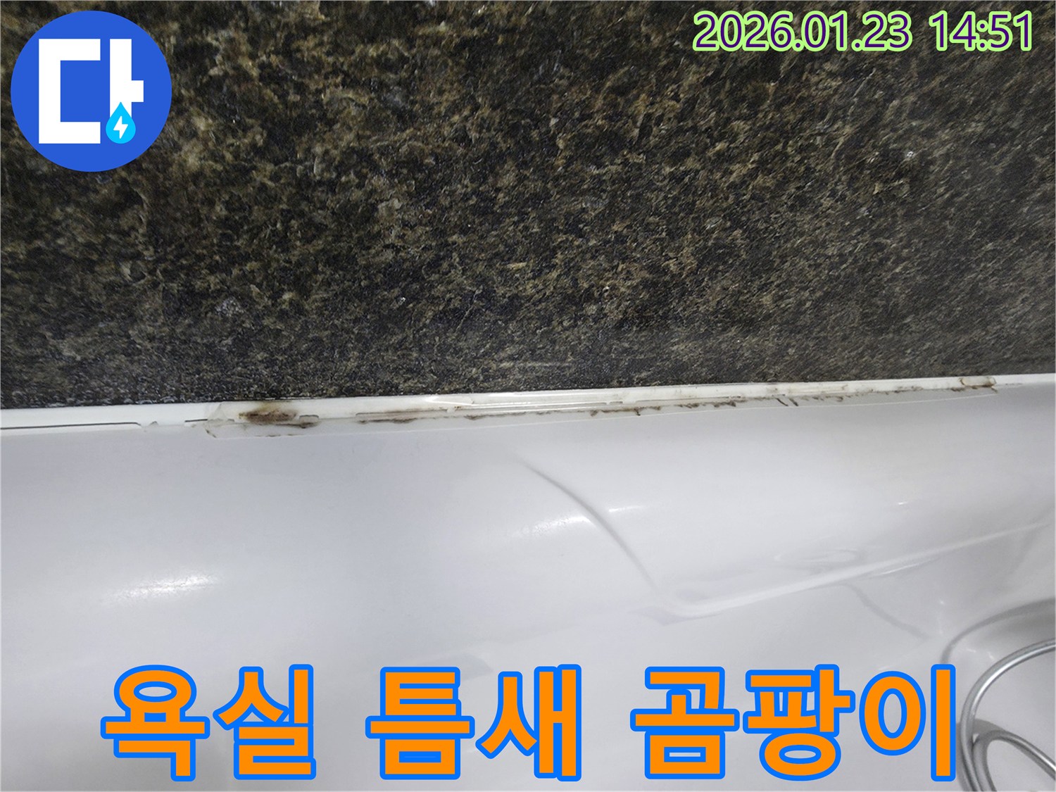 파주시 가람동 욕실 틈새에 발생한 곰팡이-누수의 초기 신호일 수 있습니다.
