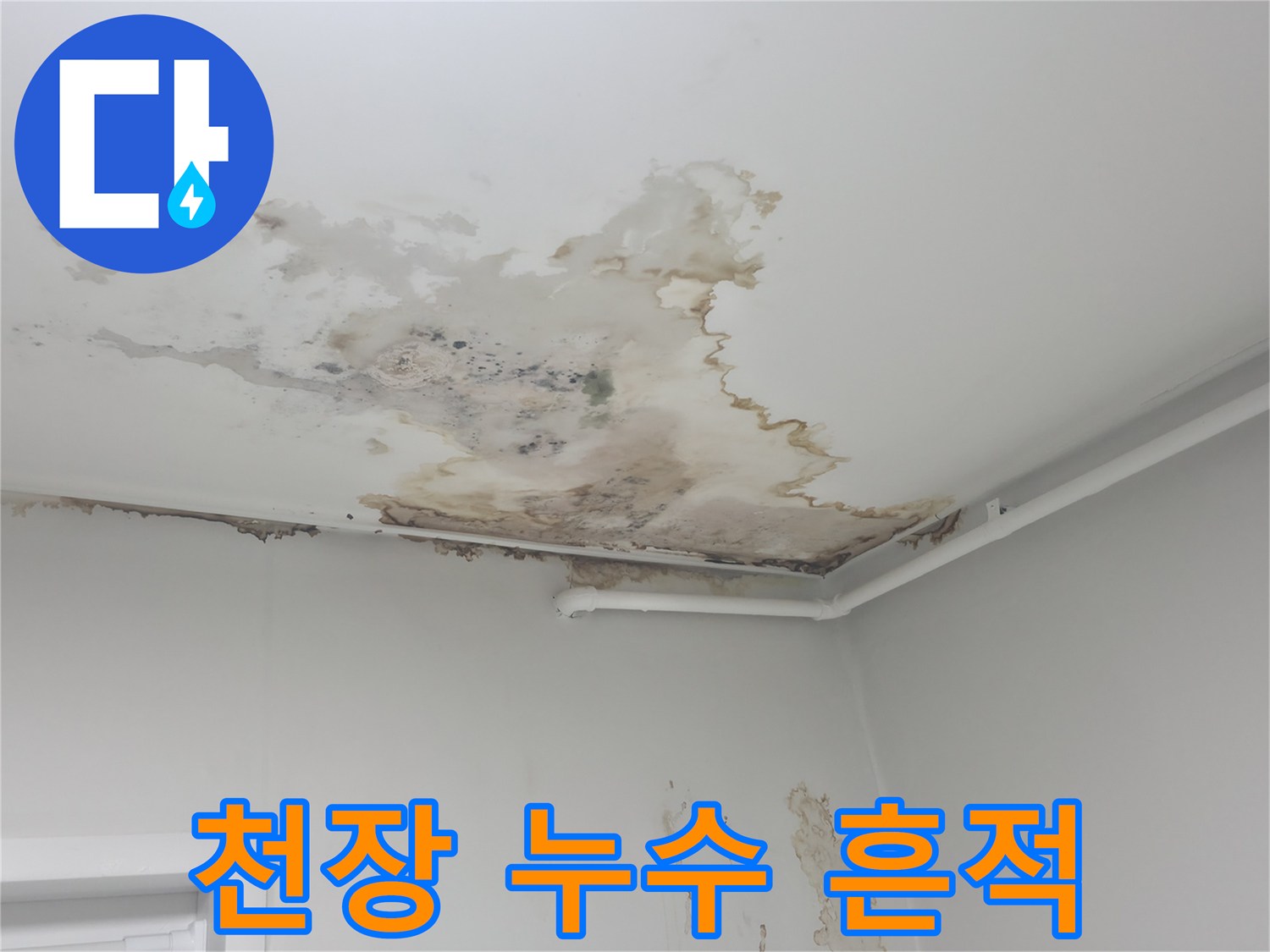노원구 아파트 천장 부분에 발생한 광범위한 물샘 얼룩과 변색 상태