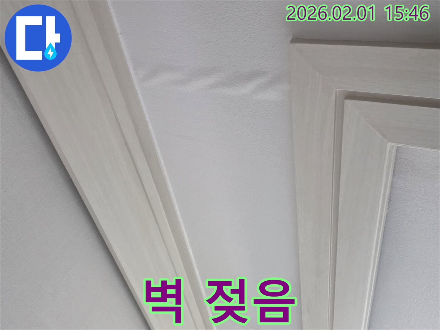 벽 젖음 - 벽이 젖어 곰팡이가 발생한 모습 - 건강에 해로울 수 있습니다.