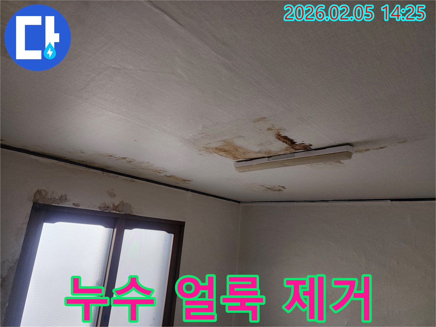 천장-누수-얼룩과-곰팡이가-심각하게-발생한-현장을-보여주는-사진입니다