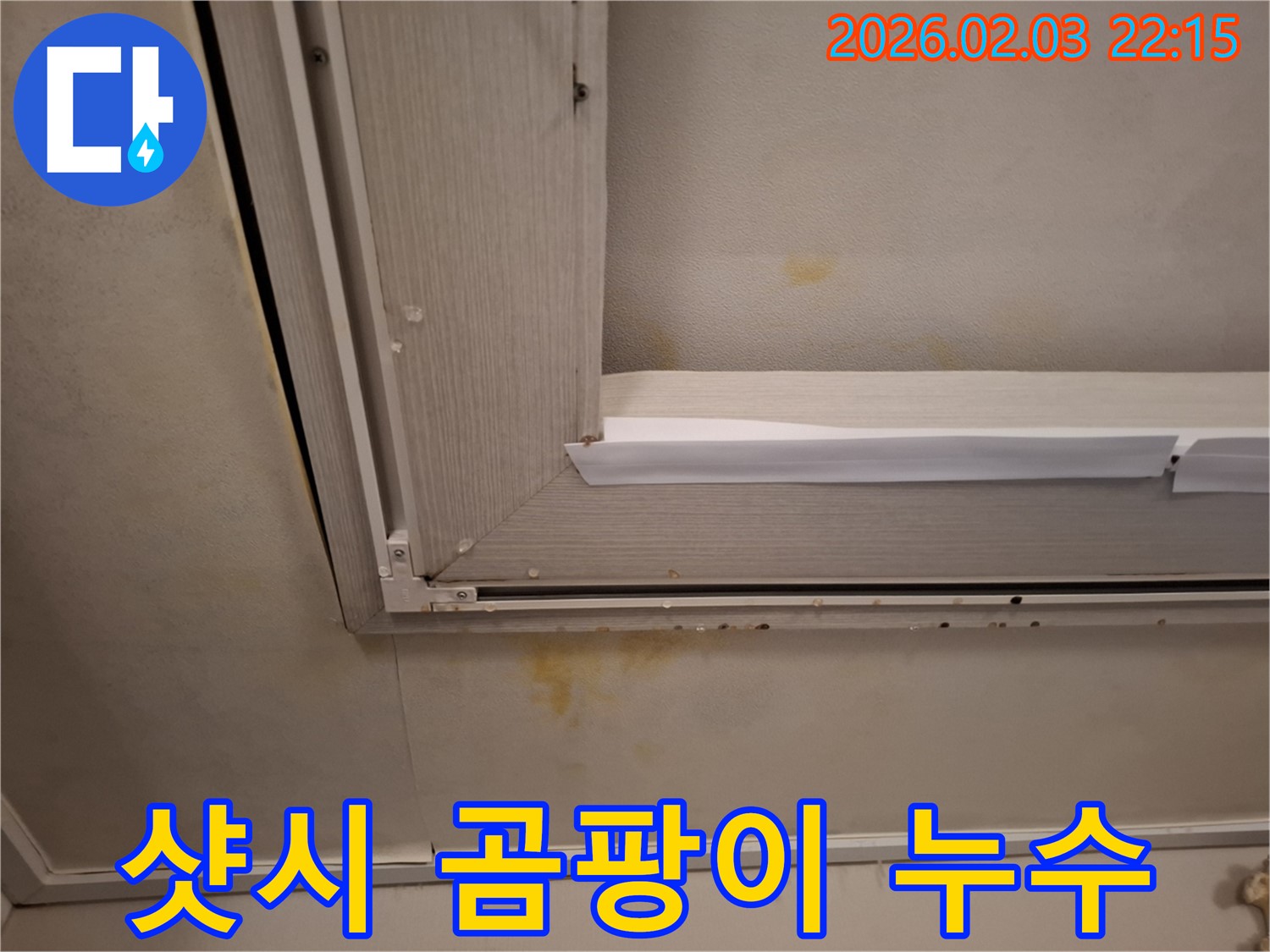 샷시 주변 곰팡이와 누수 - 깨끗하게 제거하고 완벽하게 방지!