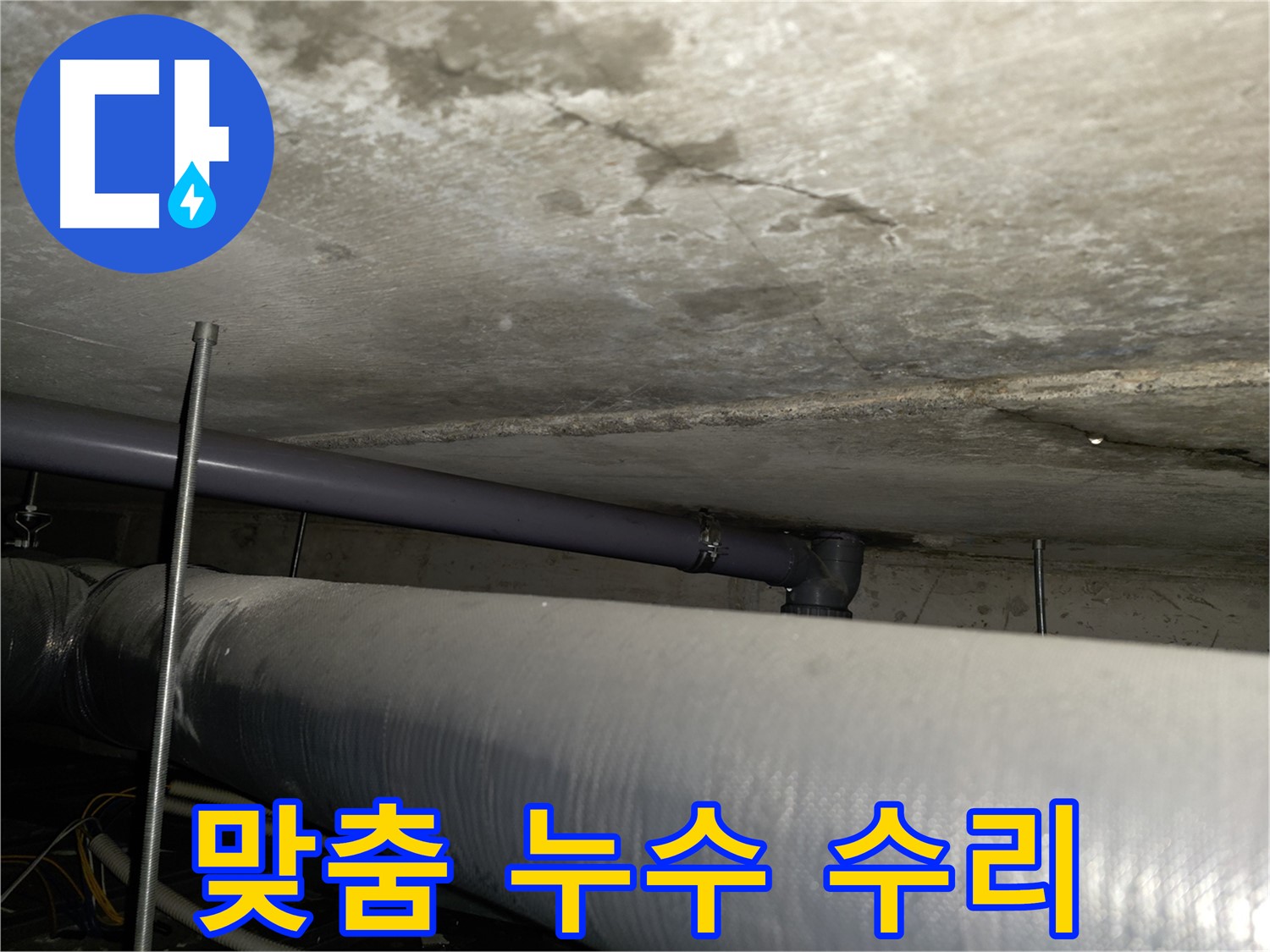 신정동 아파트 천장 누수 - 누수 원인 정밀 진단 및 해결 방안 제시