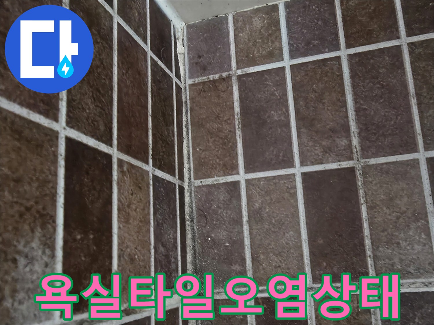 마포구 욕실-벽면 타일 사이의 곰팡이와 오염된 상태를 보여주는 사진
