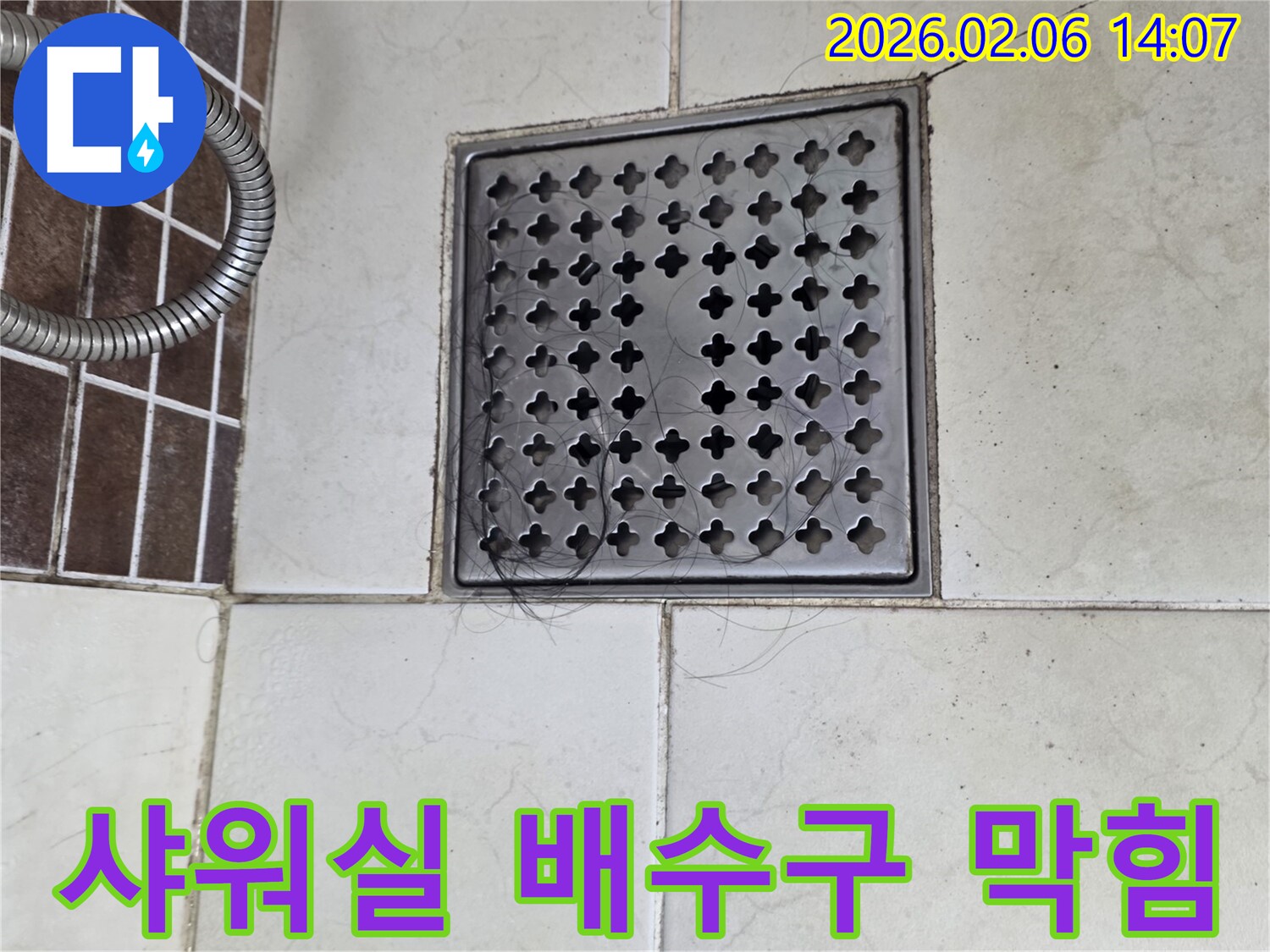 샤워실 배수구 덮개 위에-머리카락 뭉치가 쌓여있는-배수 불량 현장입니다