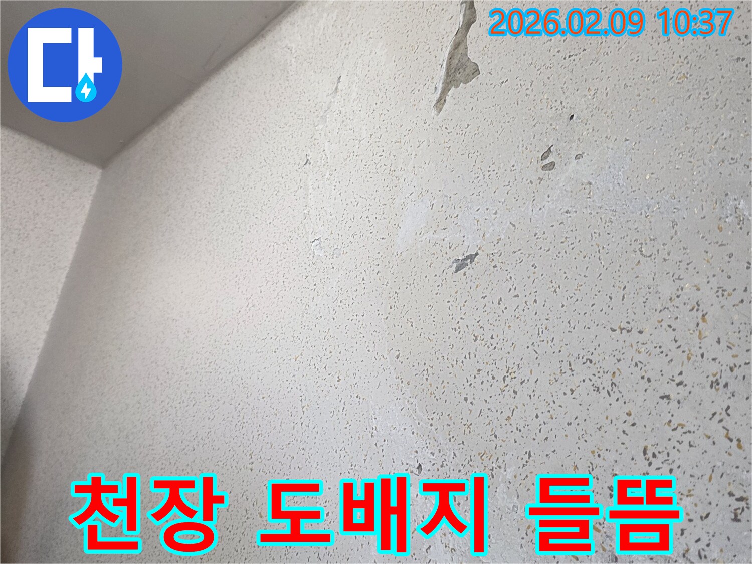 주택-천장의-도배지가-누수로-인해-들뜨고-손상된-모습을-보여줍니다