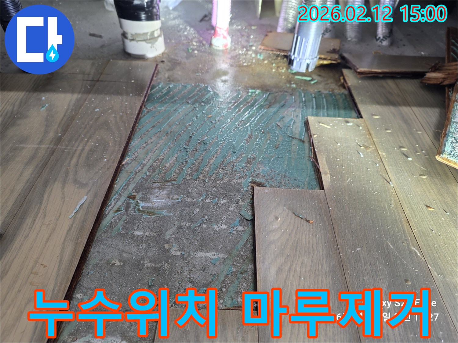 마루를 제거하여 누수 위치를 정확하게 파악하고 있는 작업 현장입니다
