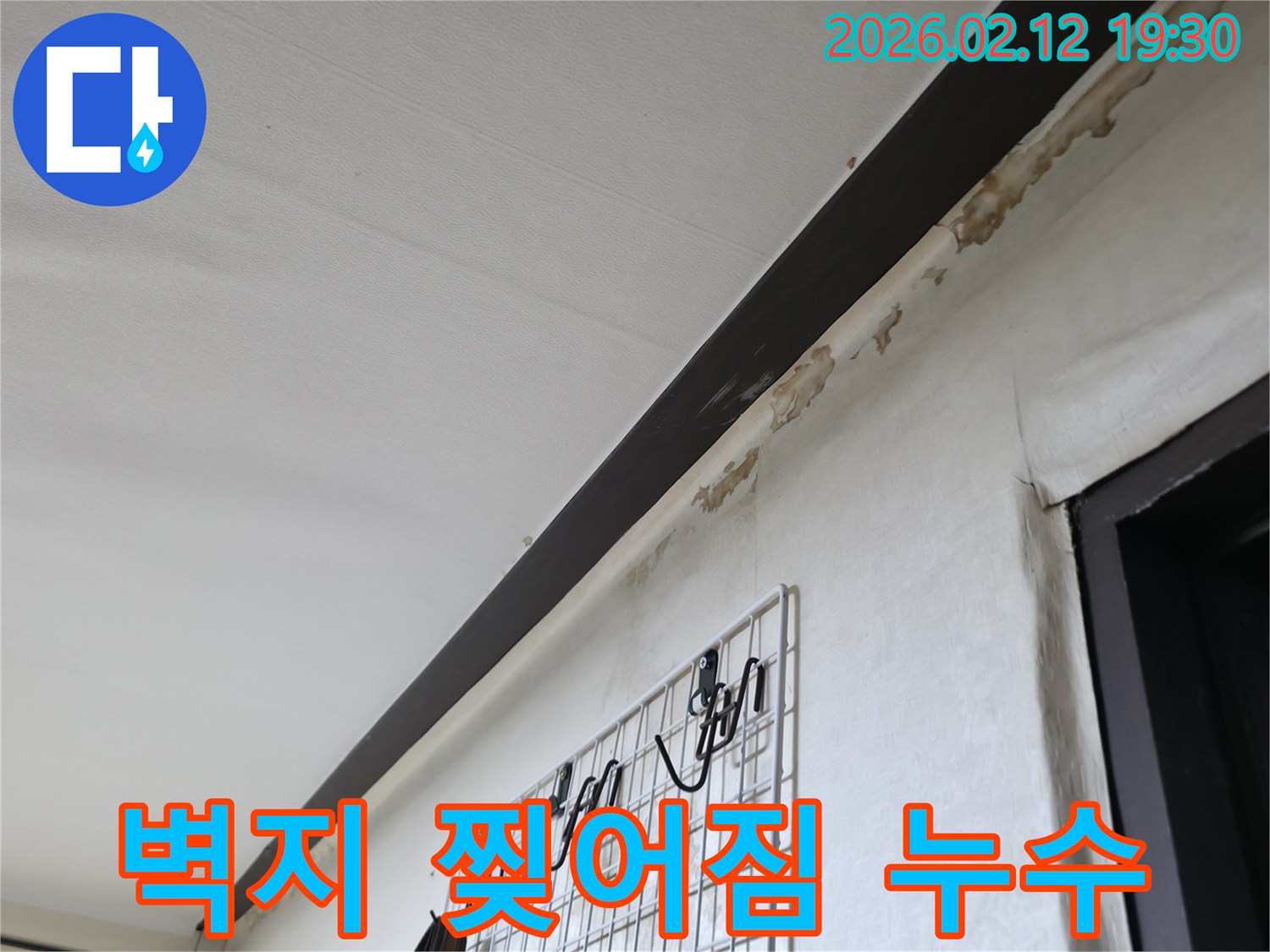 누수로-인해-벽지가-찢어지고-변색되어-심각하게-손상된-벽면의-상태를-보여주는-사진