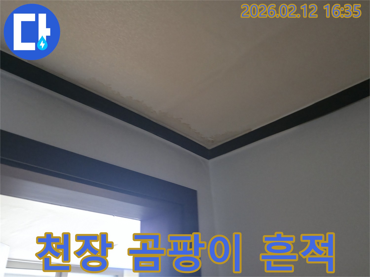 천장 모서리에-발생한 곰팡이와-물자국을-명확히 보여주는 이미지