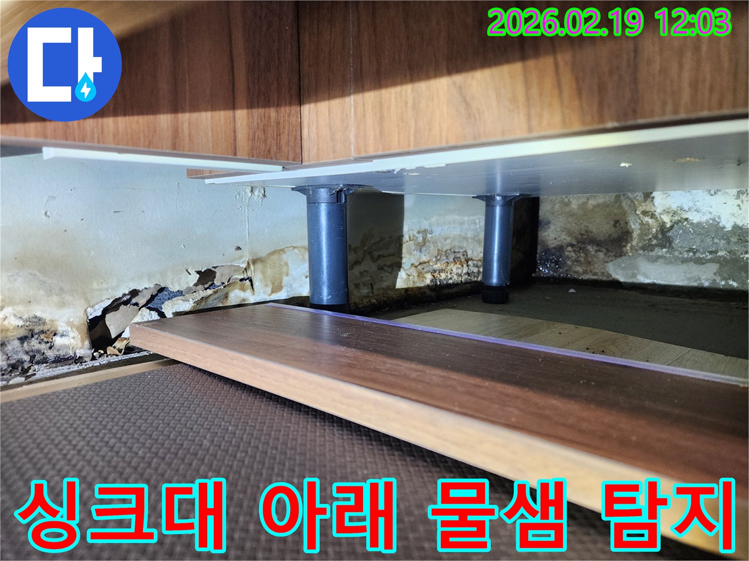 싱크대 하부 벽면의 심각한 누수 흔적-벽지 손상과 곰팡이가 광범위하게 퍼진 상태를 전문가가 진단