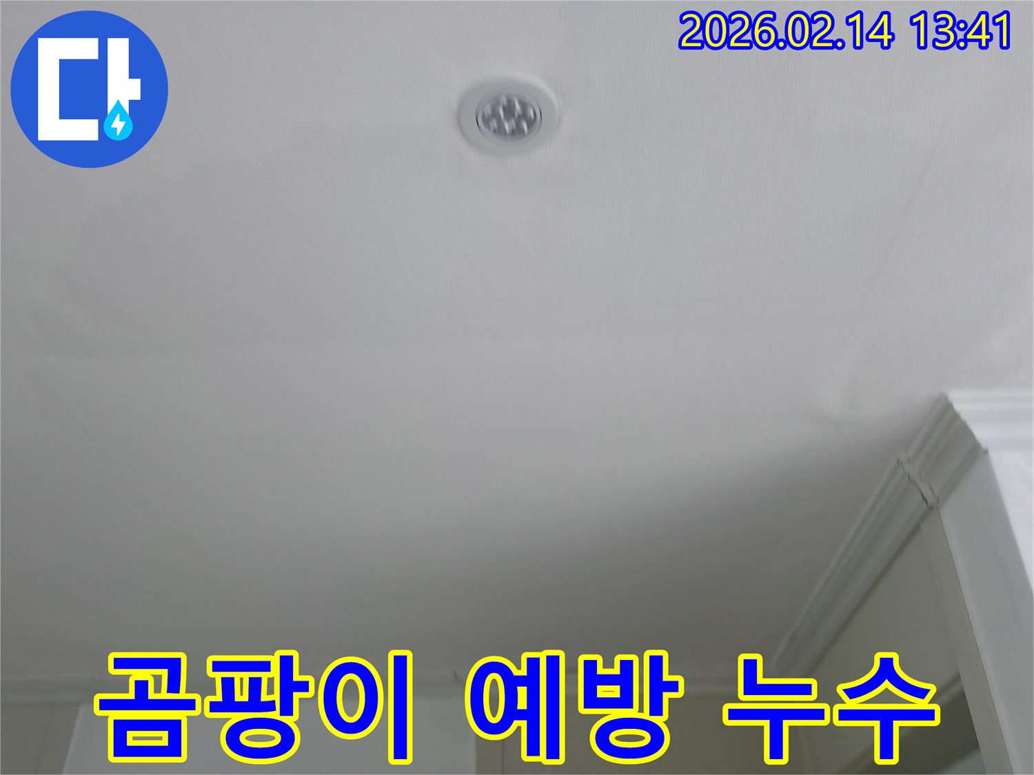 천장-누수로-인한-곰팡이-발생-전-초기-징후를-보여주며-예방-조치의-중요성을-강조하는-사진