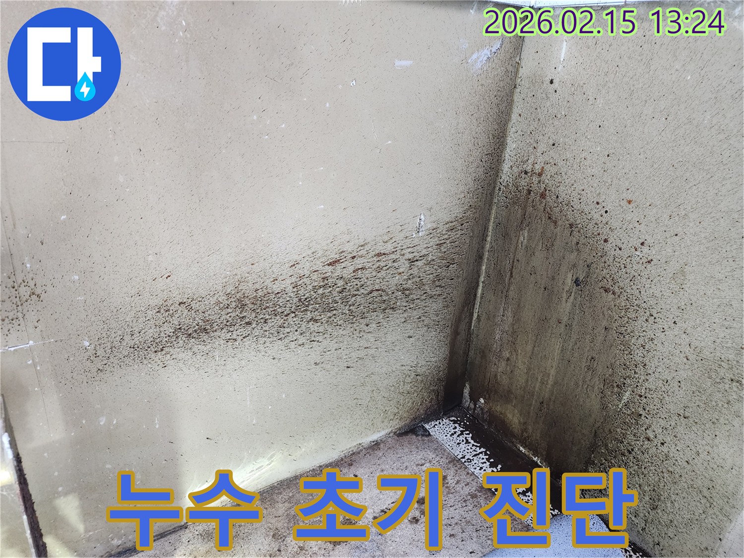 이 이미지는 건물 내부 벽면 코너에 발생한 심각한 누수-곰팡이-물고임 현상으로-초기 진단이 시급함을 보여줍니다.
