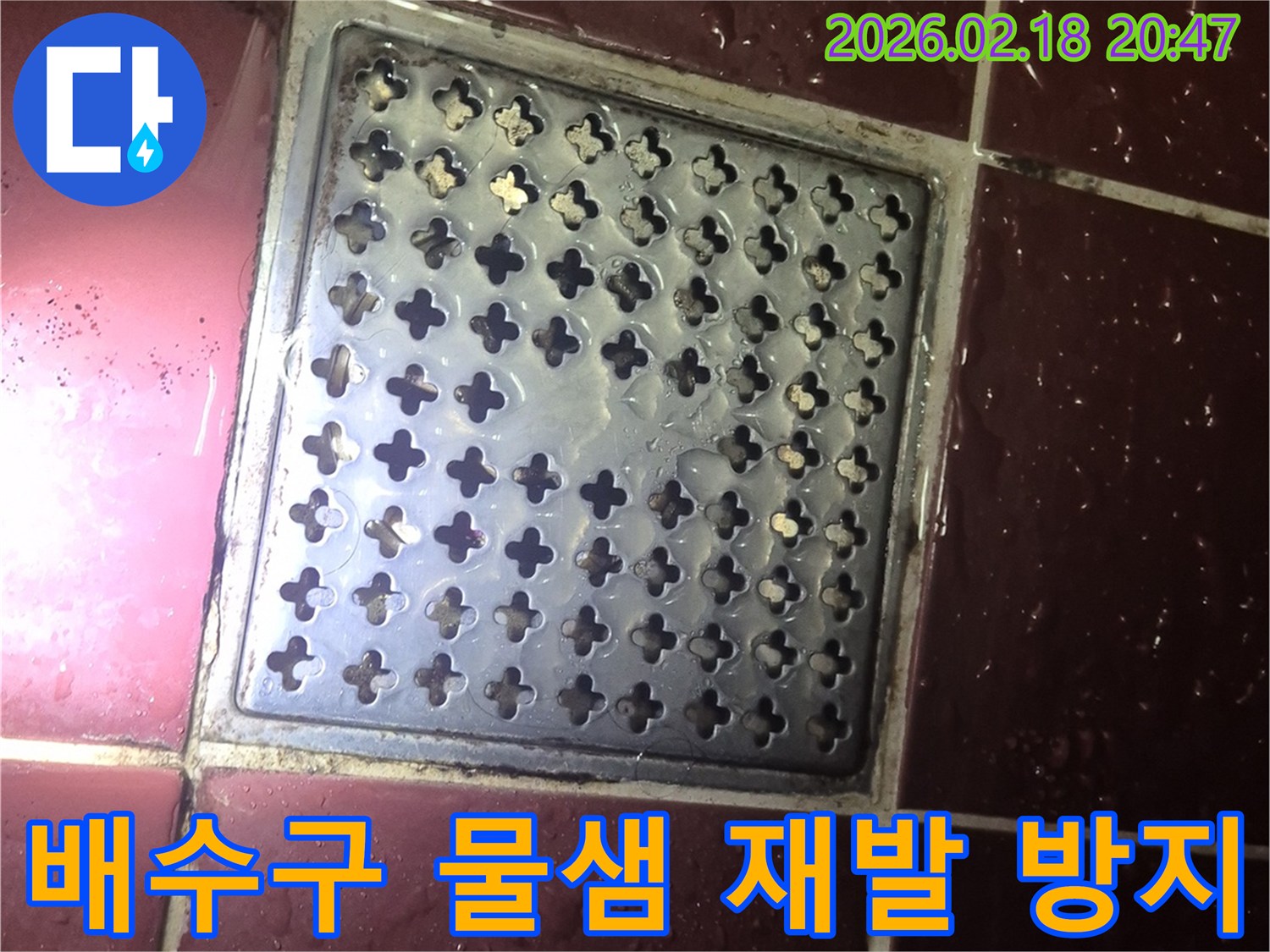 양주 백석읍 화장실 배수구-주변 물고임 현상으로 인한-누수 재발 방지 공사 현장