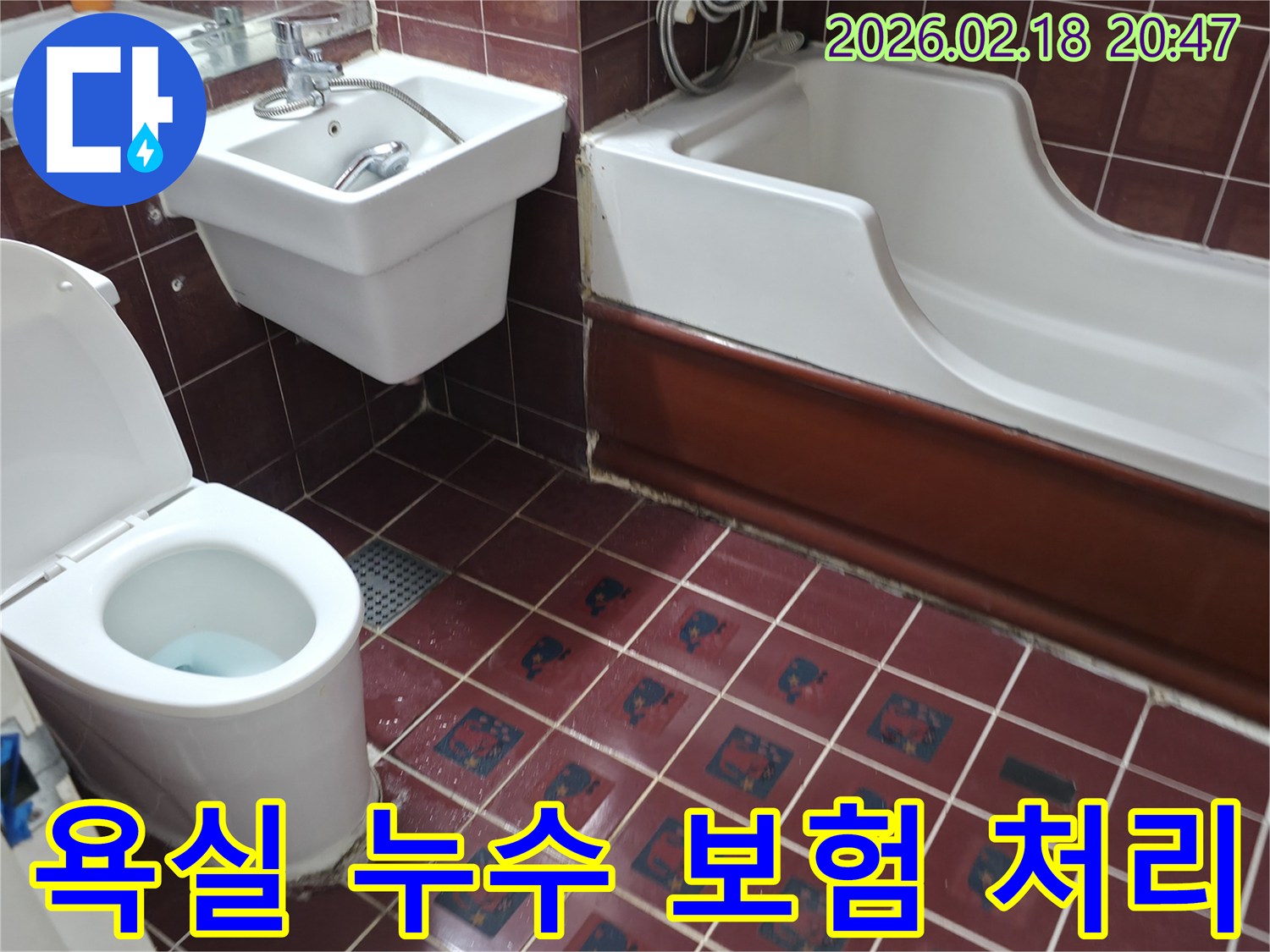 욕실 바닥 타일과 변기-욕조 주변에 물기가 고여있는 모습으로-누수 전문가가 현장을 진단하며 보험 처리 가능성을 안내하는 현장
