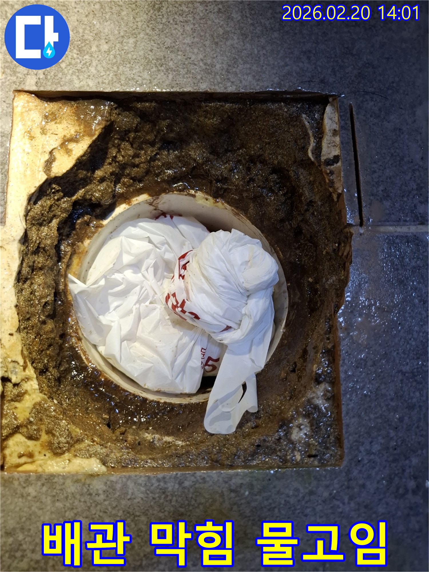 오물과 비닐로 심각하게 막힌 배관-물이 고여 역류하는 누수 발생 직전 현장