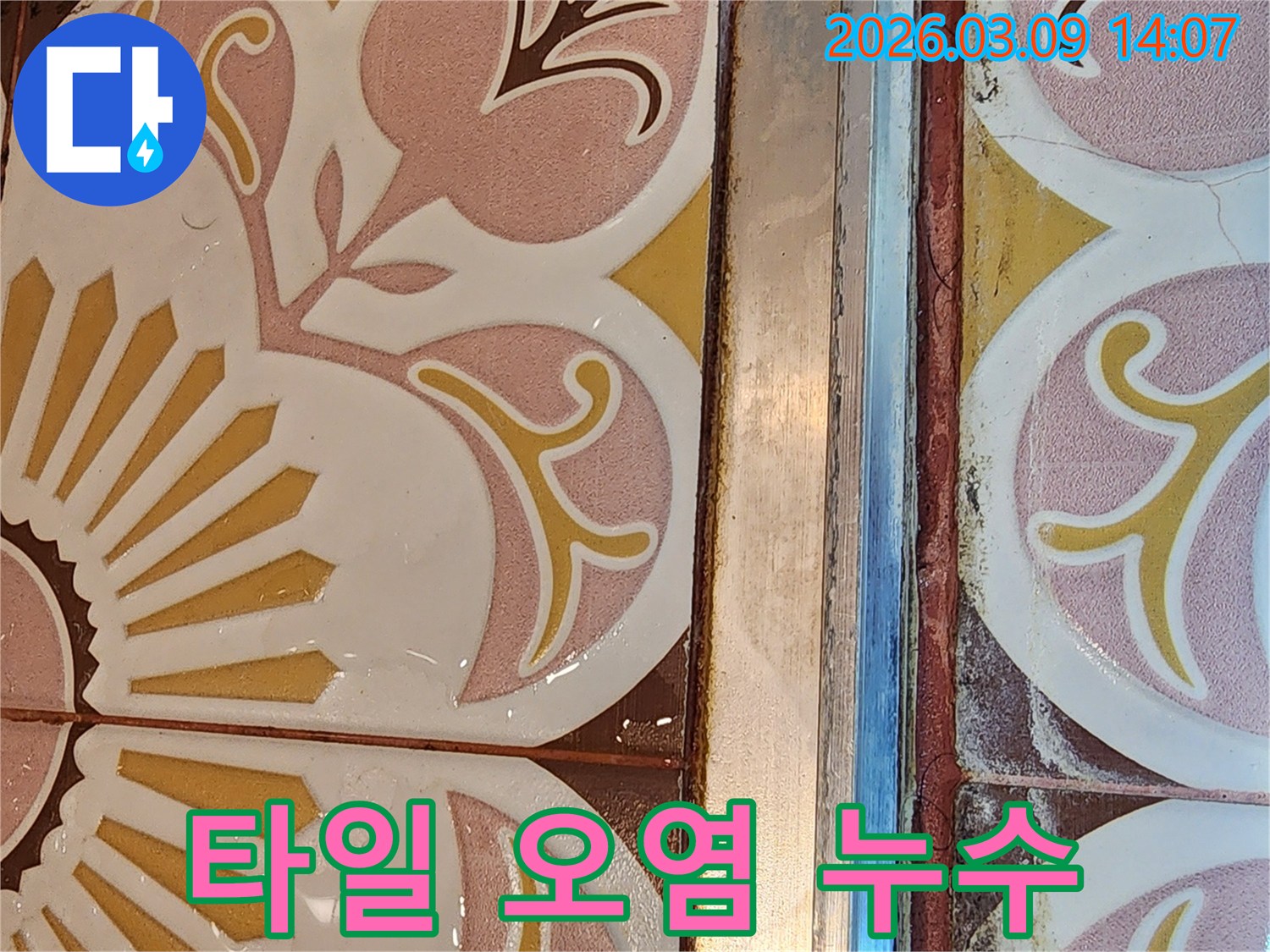 주택 내부의 타일 마감재에서 발생한 물샘 현상으로-인한 오염을 보여줍니다.