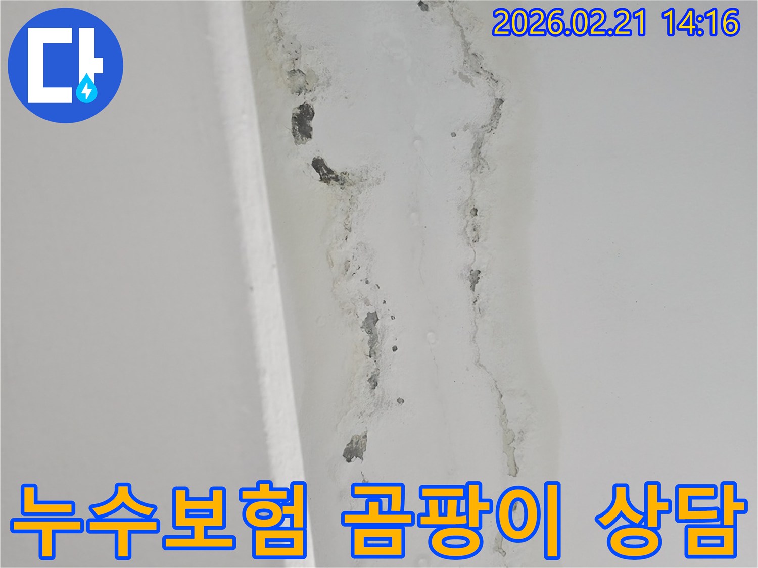 천장-누수로-인해-벽면에-발생한-심각한-곰팡이와-물자국을-보여주는-사진