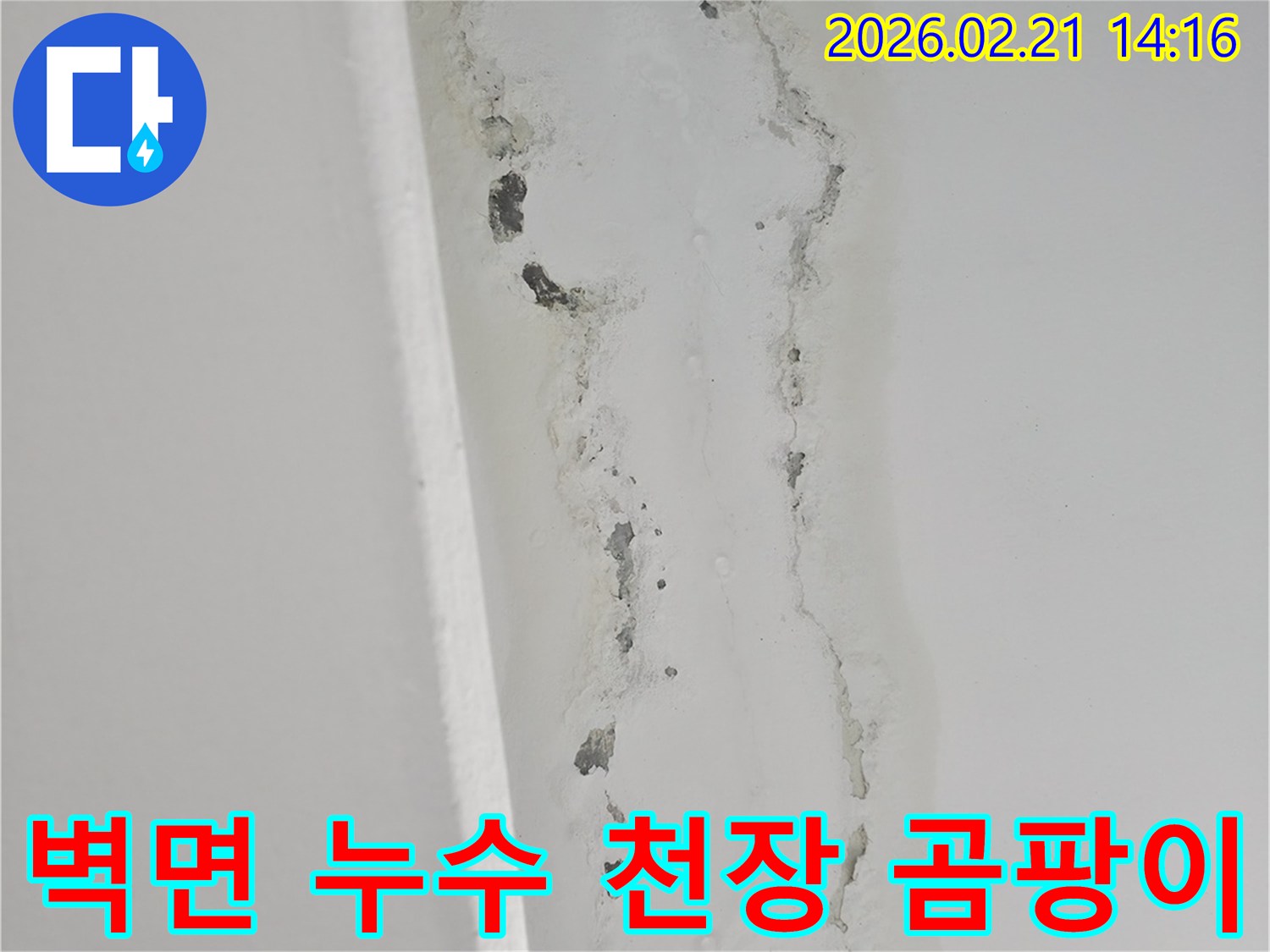천장-누수로-인해-벽면에-발생한-심각한-곰팡이와-물자국을-보여주는-사진