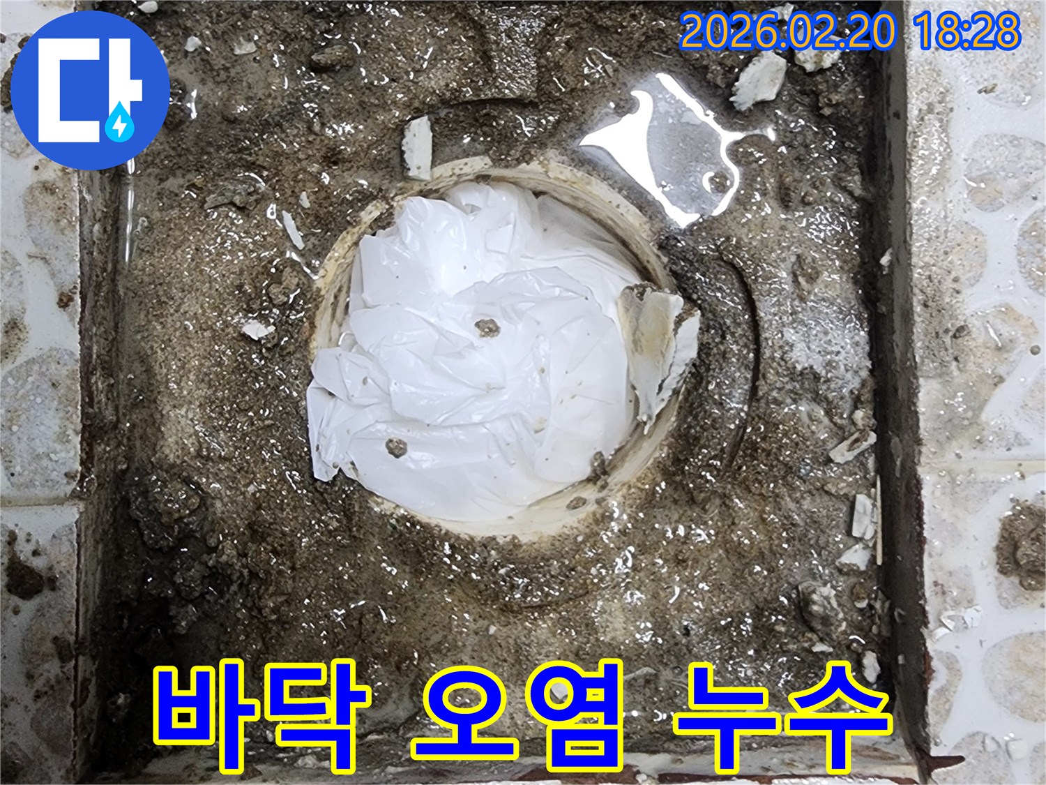 상가 화장실 바닥 배수구 주변이-심하게 오염되고 물이 고여있는-배수 불량으로 인한 누수 현장입니다.