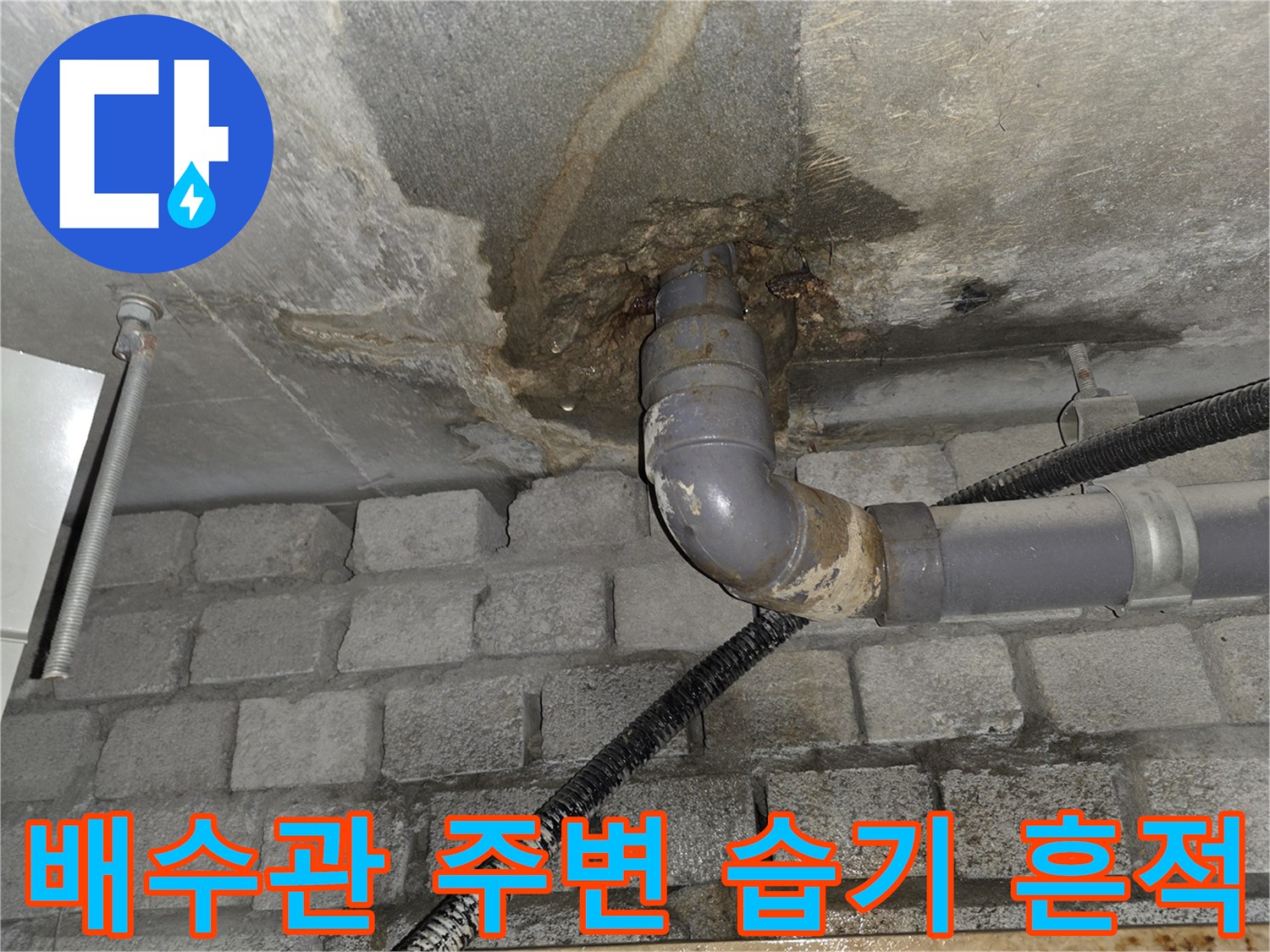 화장실-천장-배수관-연결부위-습기-및-오염-상태