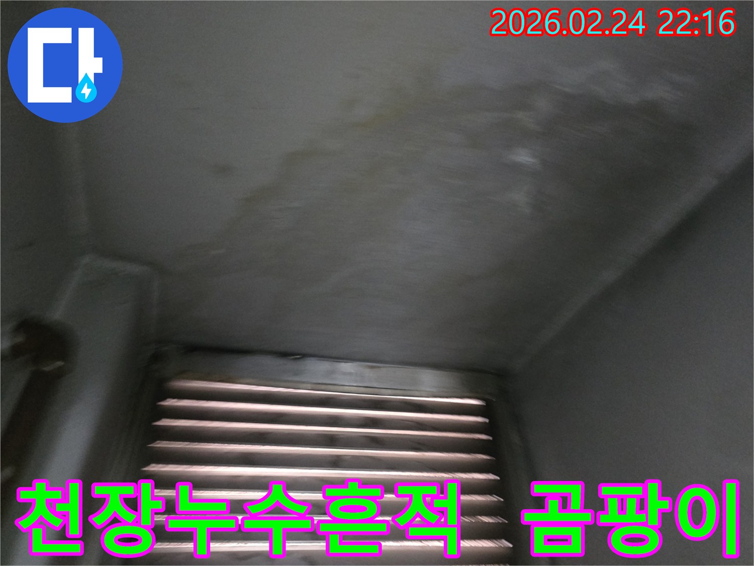천장에-오래된-누수-흔적과-함께-발생한-곰팡이-얼룩-사진입니다.