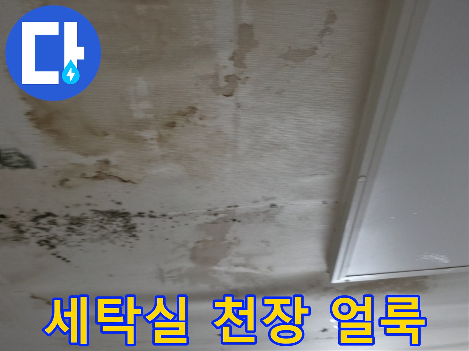 강남구 아파트 세탁실 천장에 발생한 넓은 범위의 물샘 흔적과 곰팡이 상태