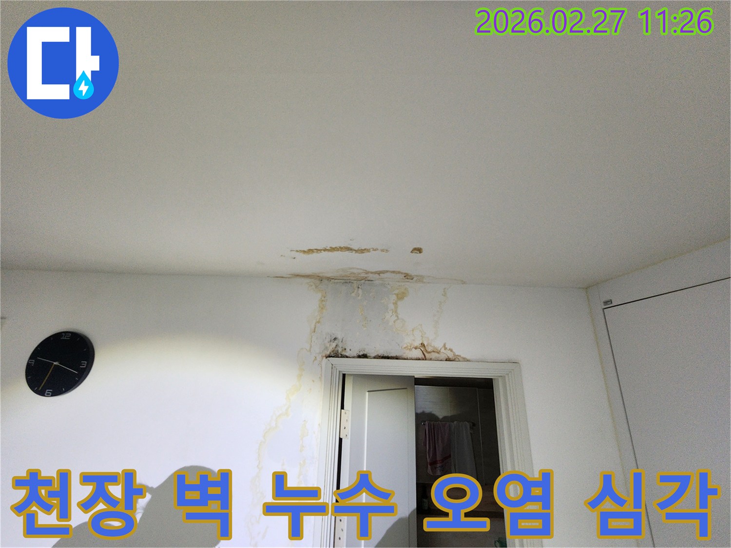 천장과-벽면에-심각한-누수-오염이-발생한-현장을-정밀-진단하는-모습