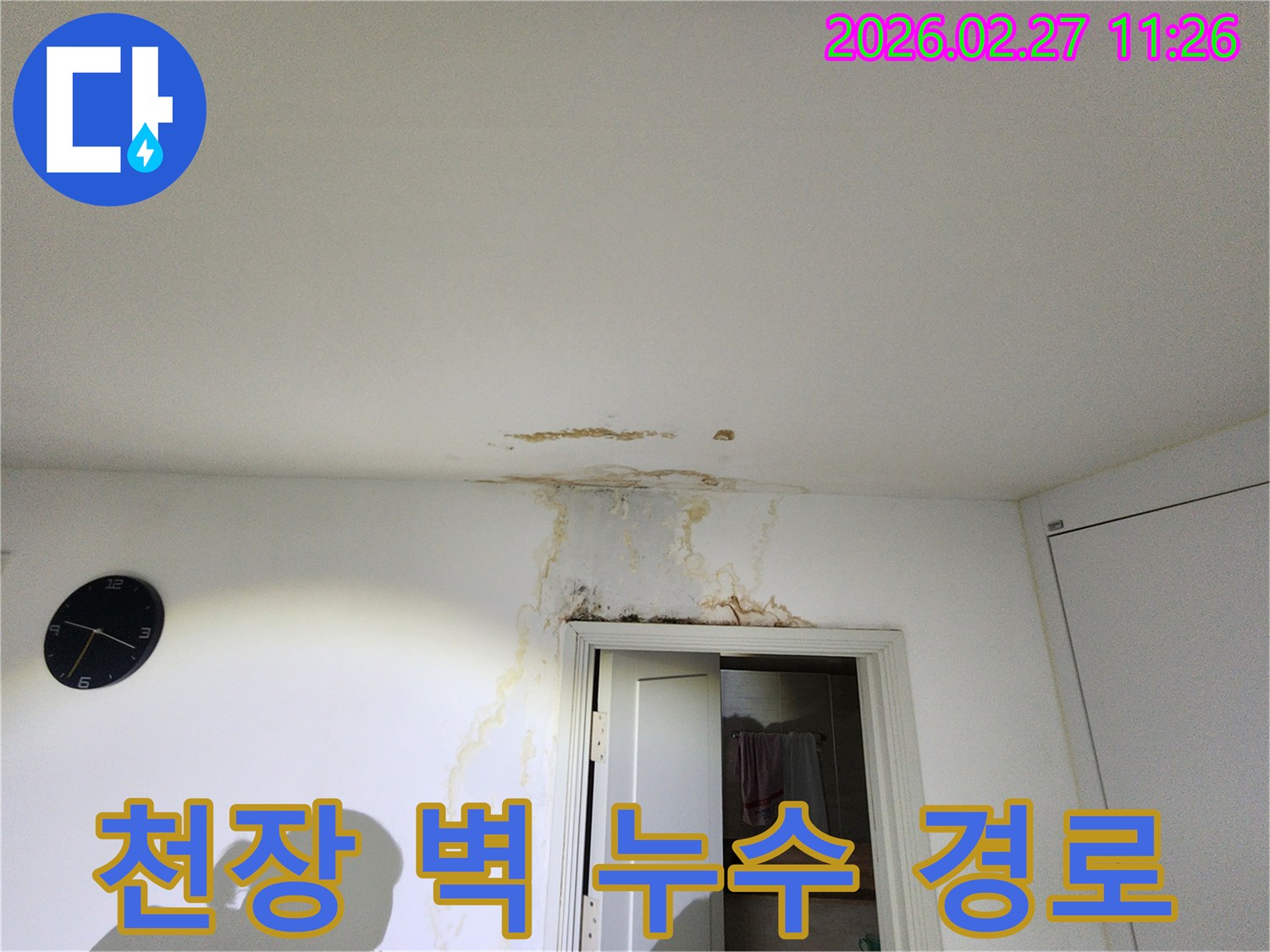 천장과-벽면의-물자국을-통해-누수-경로를-파악하는-현장-진단-모습