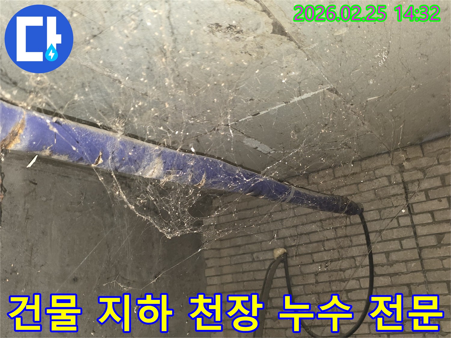 강동구 진황도로 인근 건물-지하 천장에 거미줄이 엉켜있는-누수 탐지 전-현장 준비 모습을 담은 사진입니다.