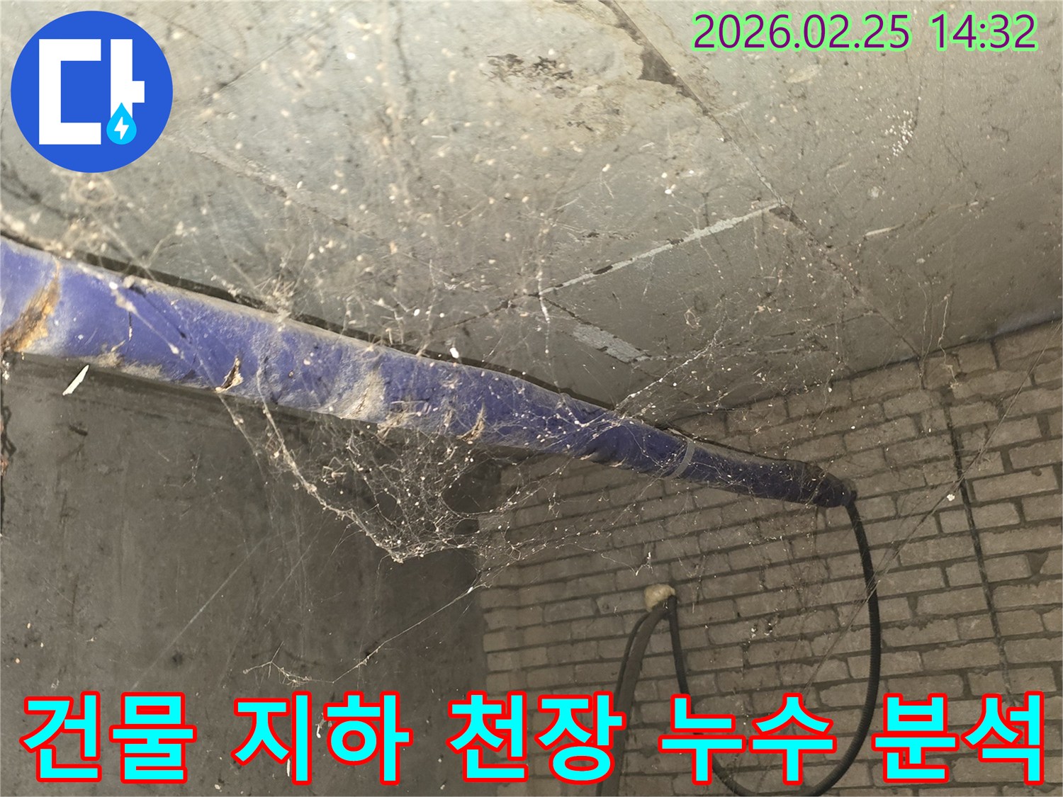 강동구 진황도로 인근 건물-지하 천장에 거미줄이 엉켜있는-누수 현장 정밀 분석 전-현장 준비 모습을 담은 사진입니다.