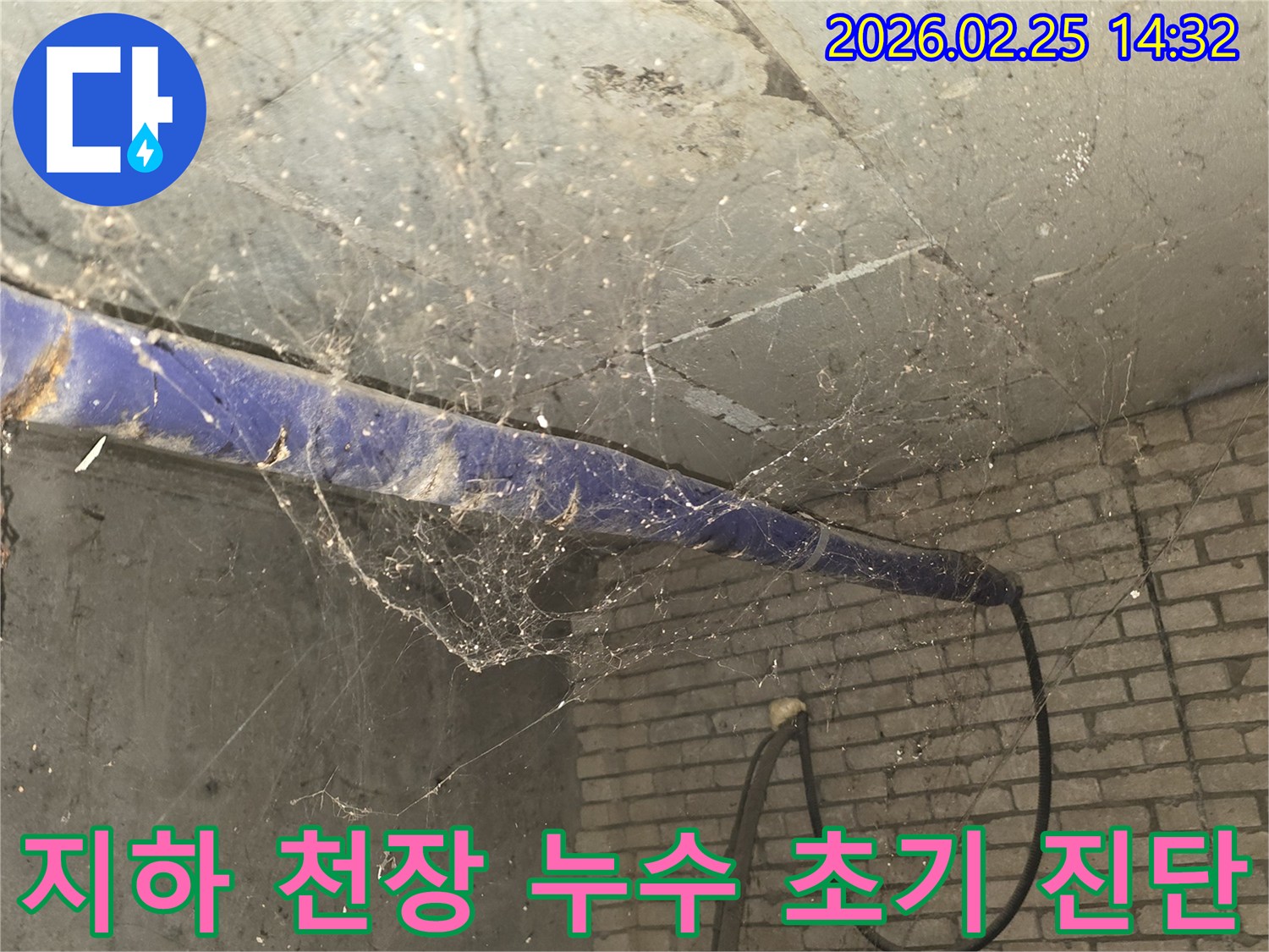 강동구 진황도로 인근-지하 공간의 천장-거미줄과 먼지가 가득한-누수 탐지 전 현장 사진입니다.