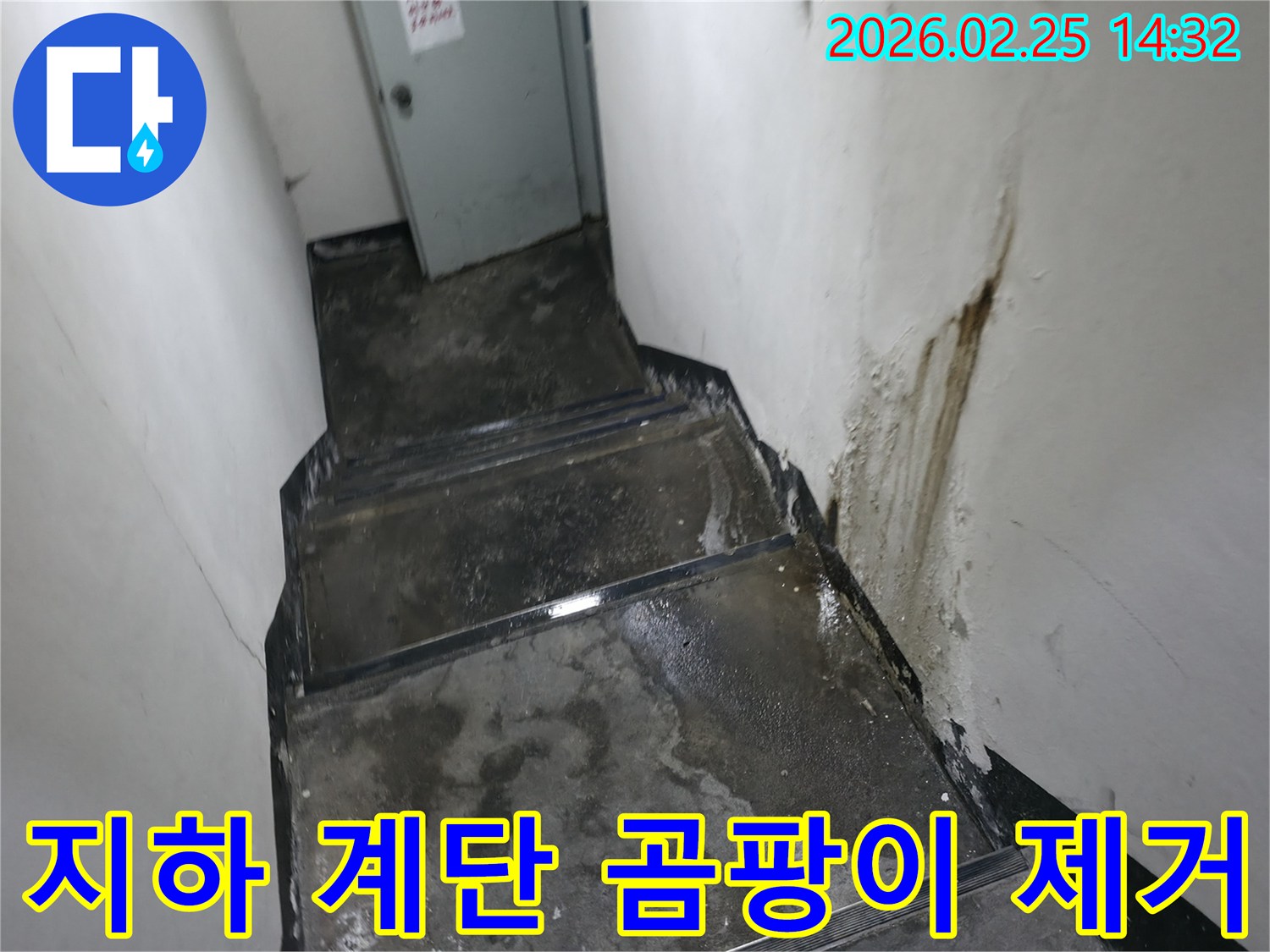 강동구-진황도로-지하-계단-벽면과-바닥에-누수로-인해-발생한-곰팡이와-습기-현장
