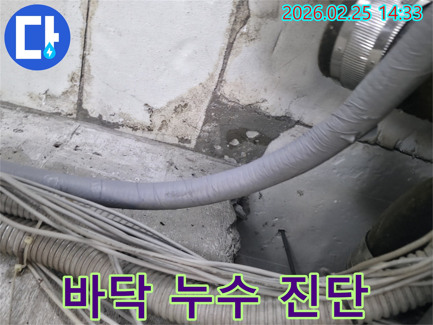 누수 엔지니어가-콘크리트 바닥의-젖은 부분과-배관 주변의-손상을-정밀하게 진단하는 모습