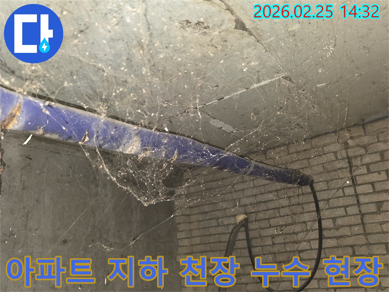 서울 강동구 진황도로 인근 아파트-지하 천장에 거미줄이 가득한-누수 발생 의심 현장의 모습입니다.