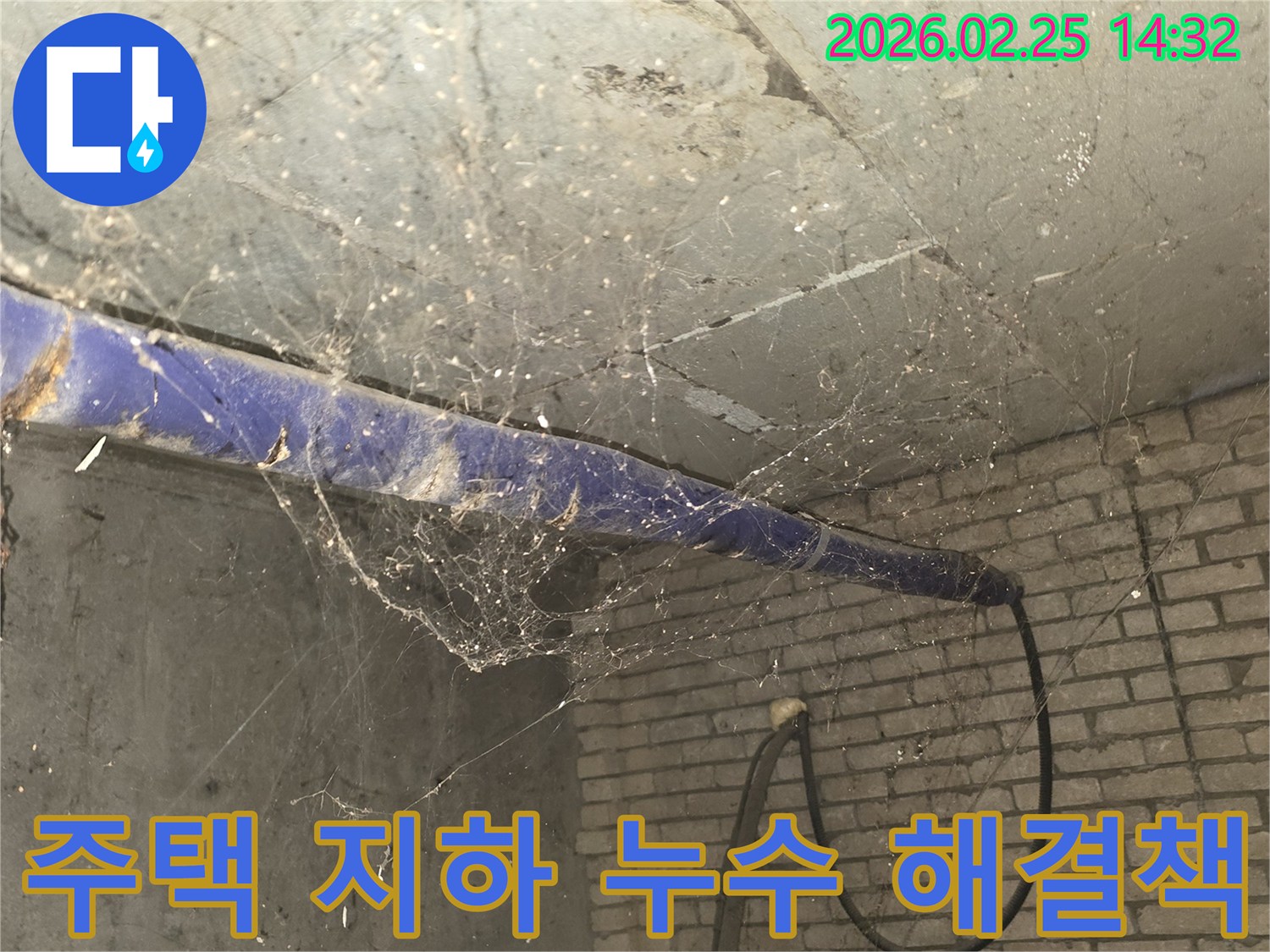 서울 강동구 진황도로 인근 오래된 주택-지하 천장에 거미줄이 가득한-누수 진단 및 해결책 제시 전-현장 상황을 담은 사진입니다.