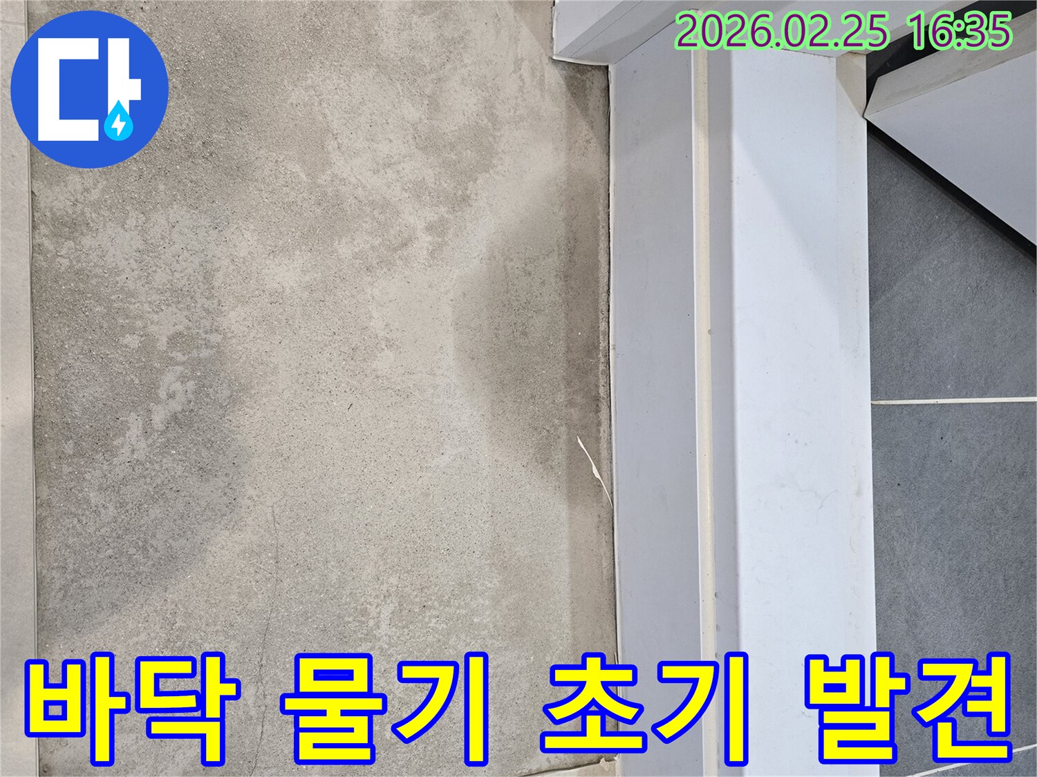 누수-전문가가-바닥에-발생한-물기를-초기에-발견하여-더-큰-피해를-막기-위해-정밀하게-조사하는-모습