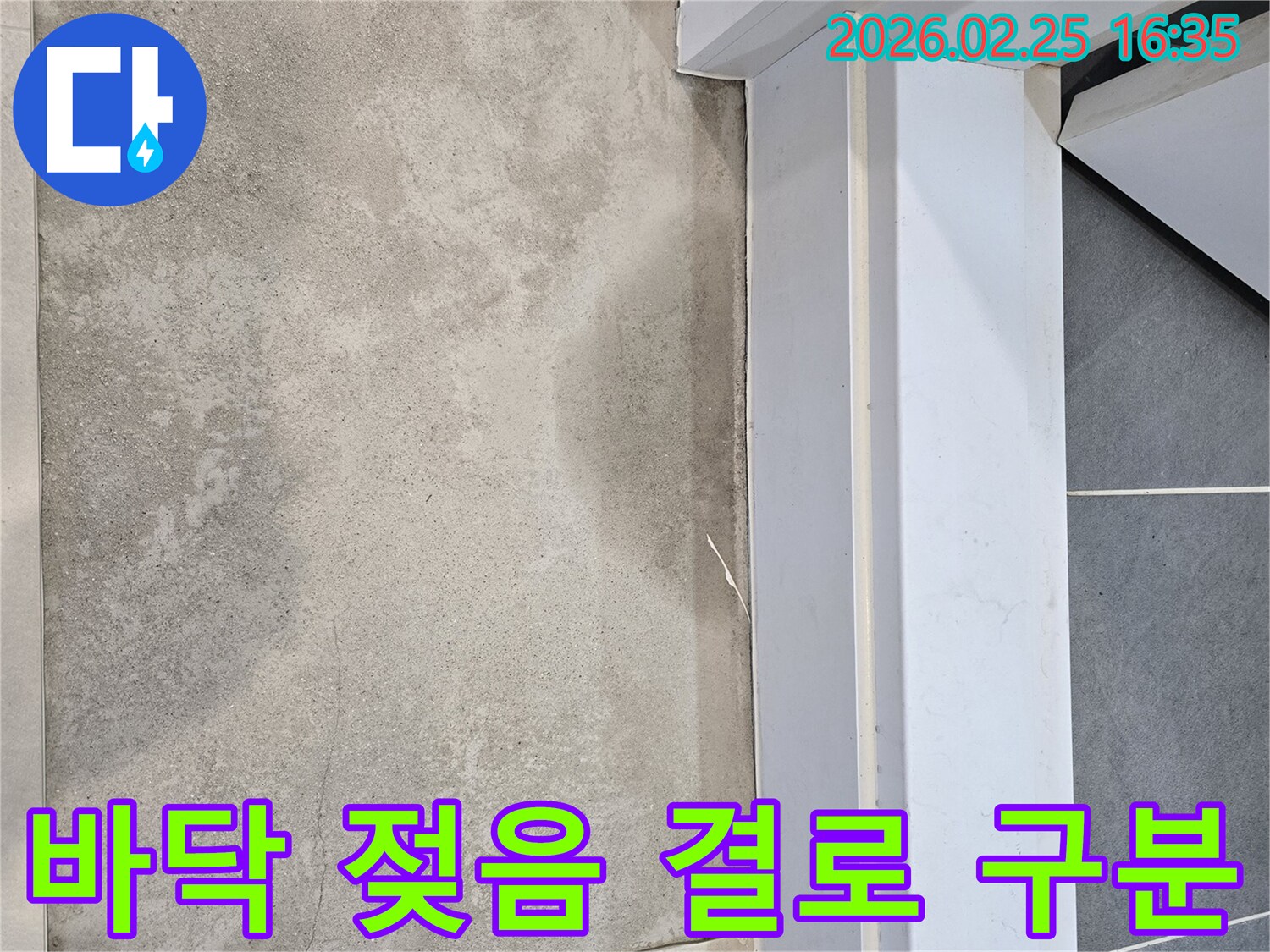 누수-전문가가-바닥에-발생한-젖은-흔적을-통해-누수와-결로-현상을-정확하게-구분하여-진단하는-모습