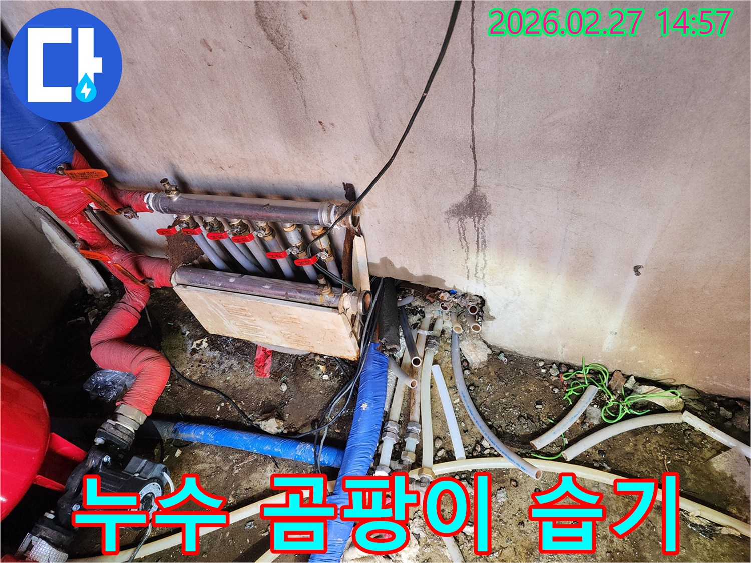 양주시-누수-현장에서-누수로-인해-발생한-벽면의-습기와-곰팡이-흔적을-보여주며-제거-작업이-필요함을-나타내는-이미지