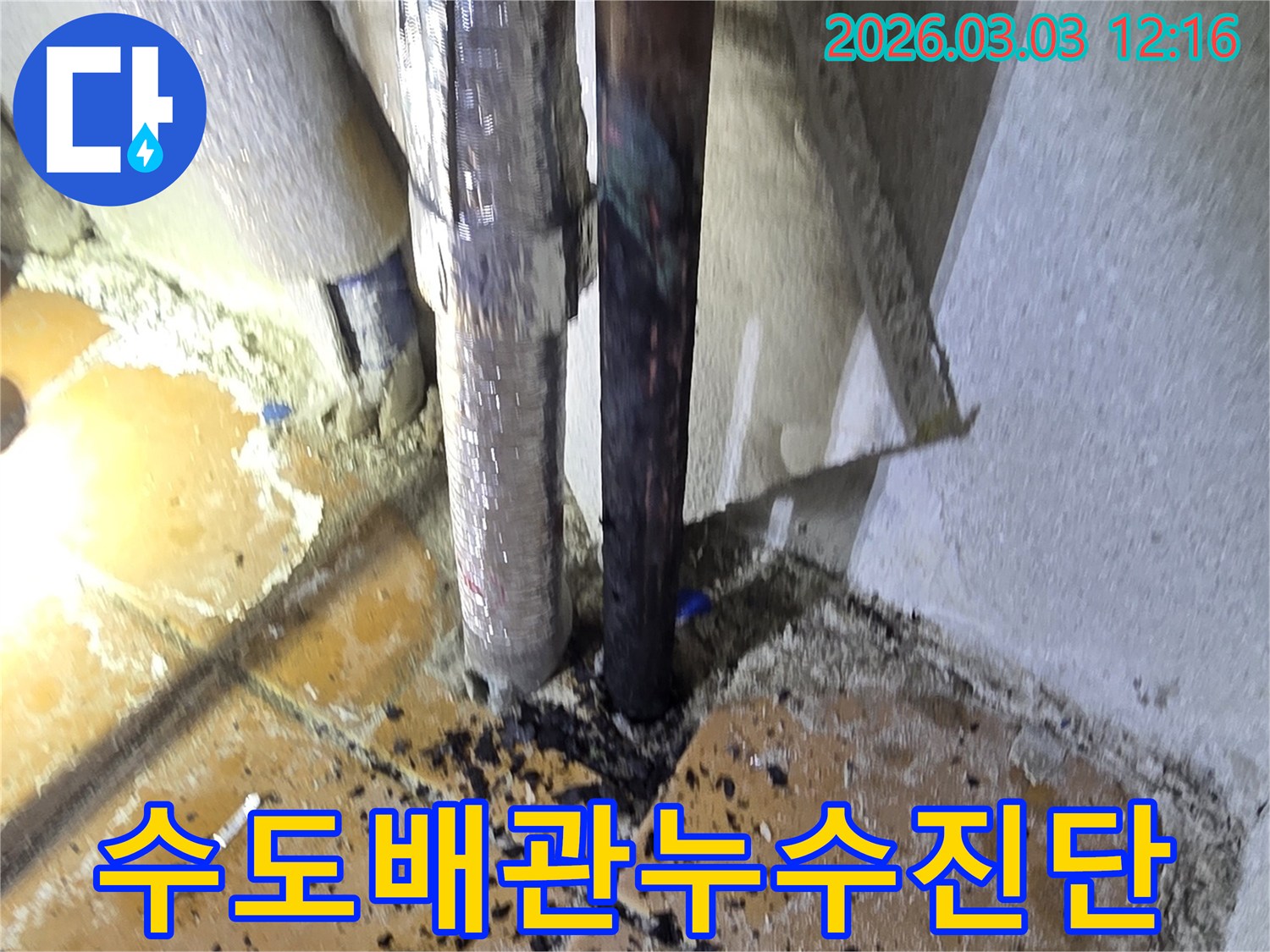양주-광적면-주택의-수도배관에서-발생한-누수-지점을-정확히-찾아내기-위해-전문가가-정밀-진단-장비를-사용하여-현장을-점검하는-모습