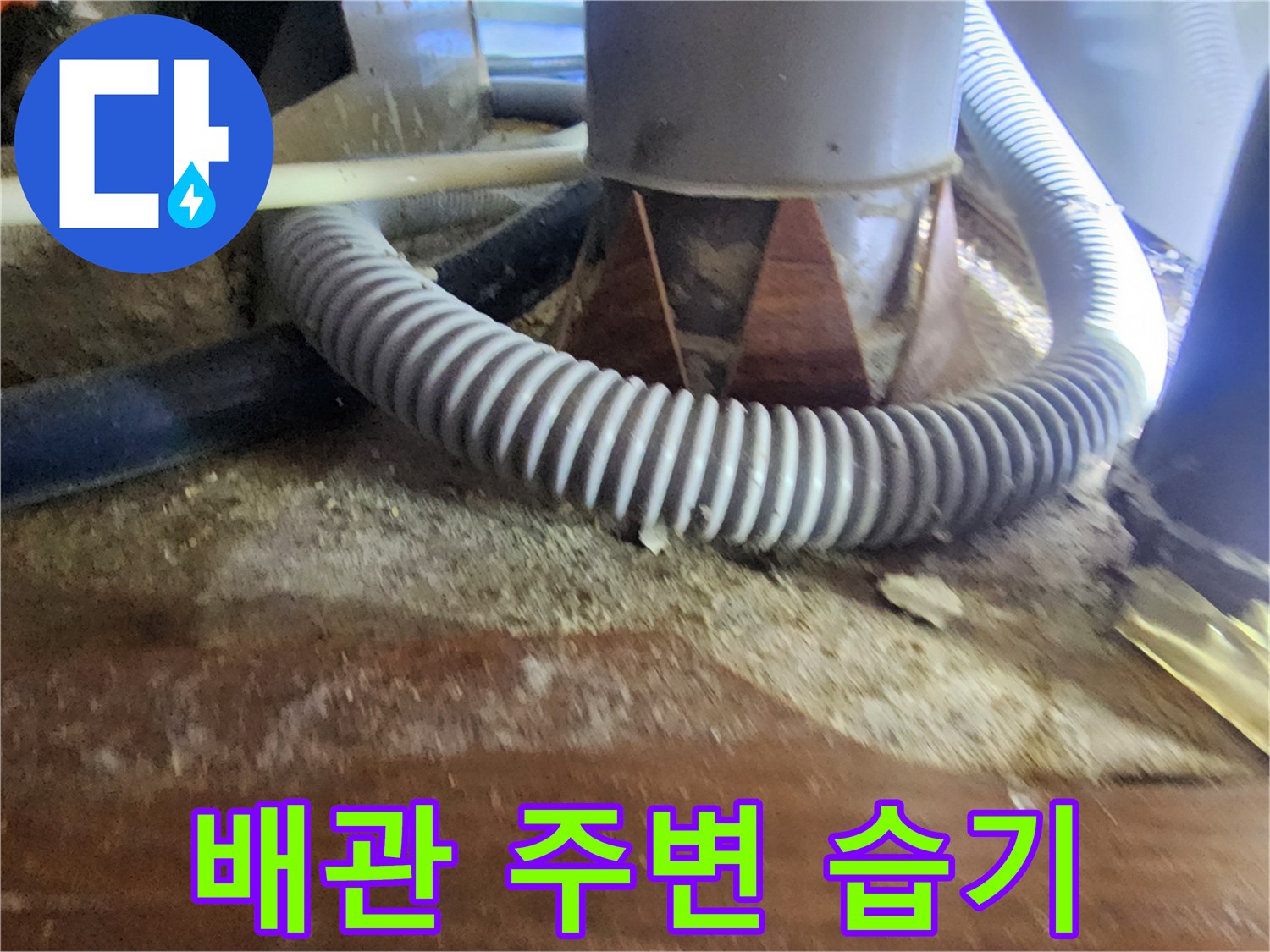천장 내부의 물에 젖은 나무 자재와 주름관 배관