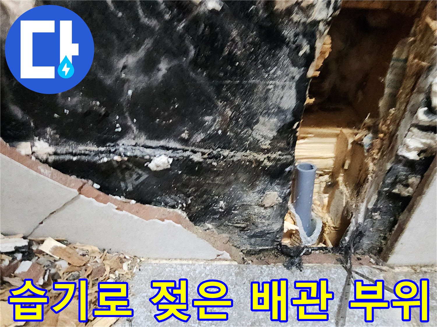 수도 배관 주변에-맺힌 습기와-검게 변한 벽체 내부